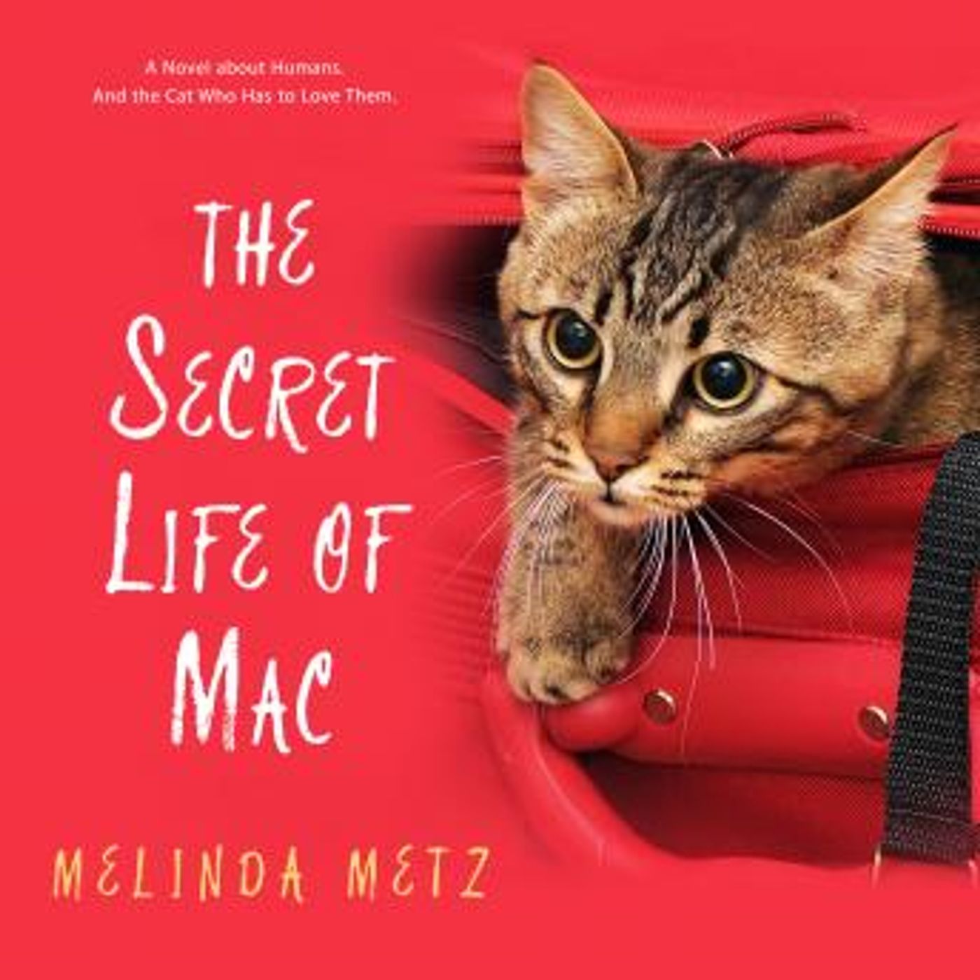 Find Best-Selling Full Audiobooks in Romance, Rom-Com