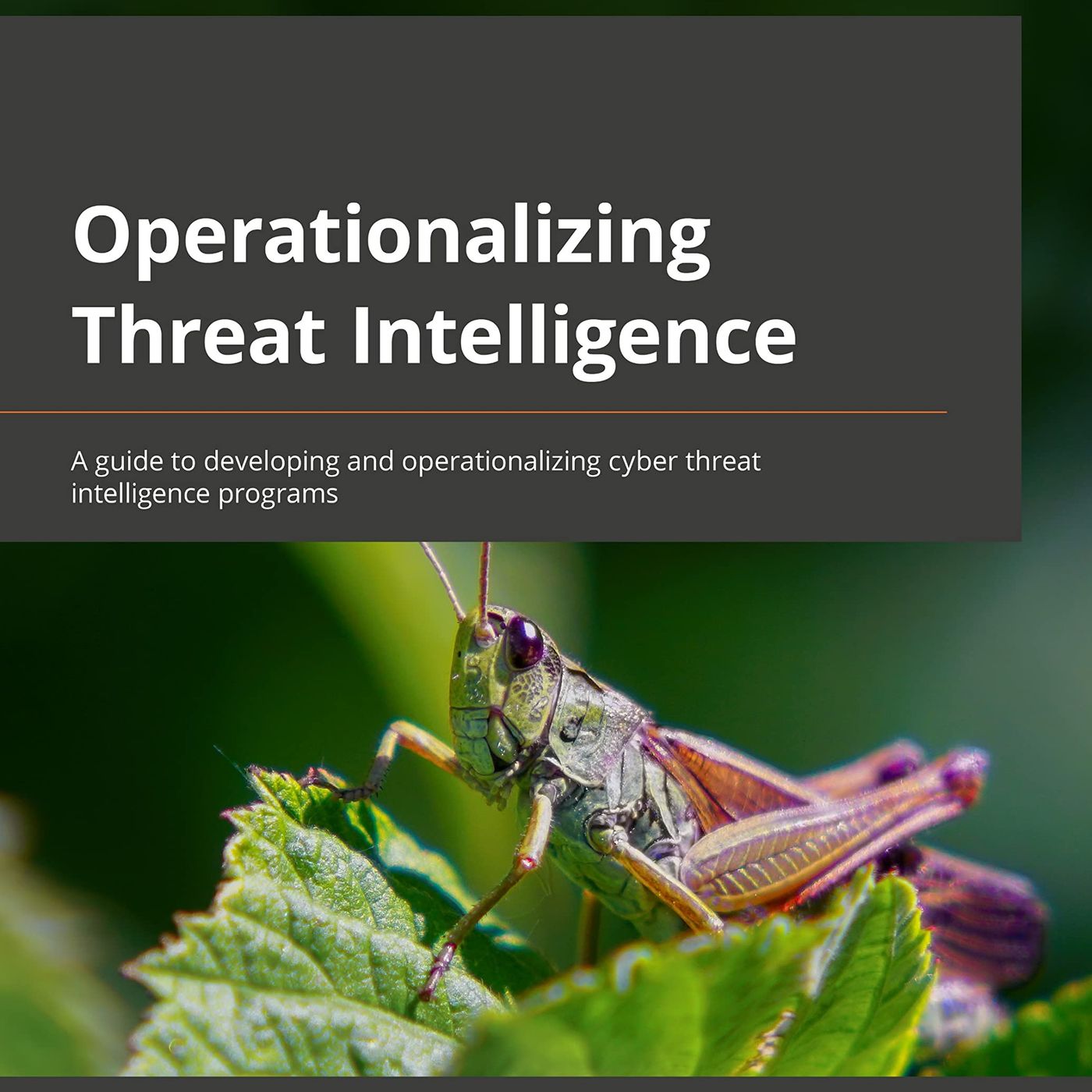 Operationalizing Threat Intelligence: A guide to developing and operationalizing cyber threat intelligence programs