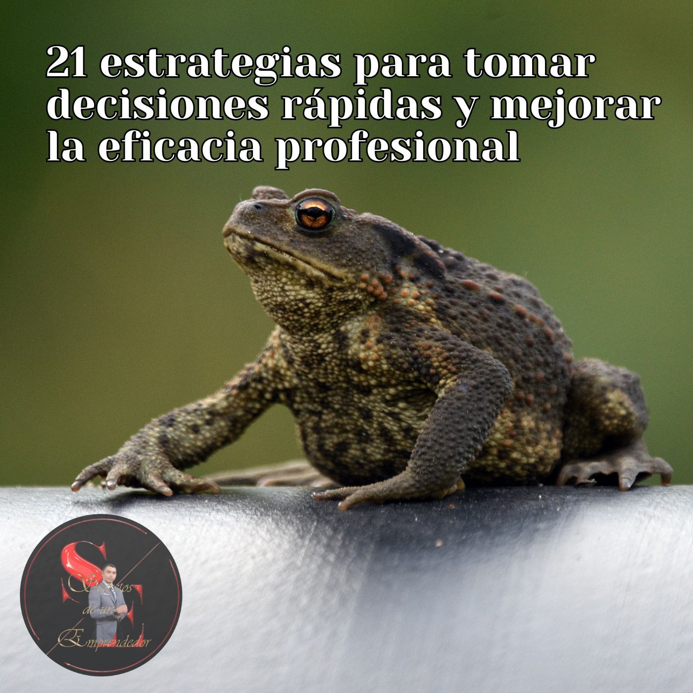 SECRETOS DE UN EMPRENDEDOR