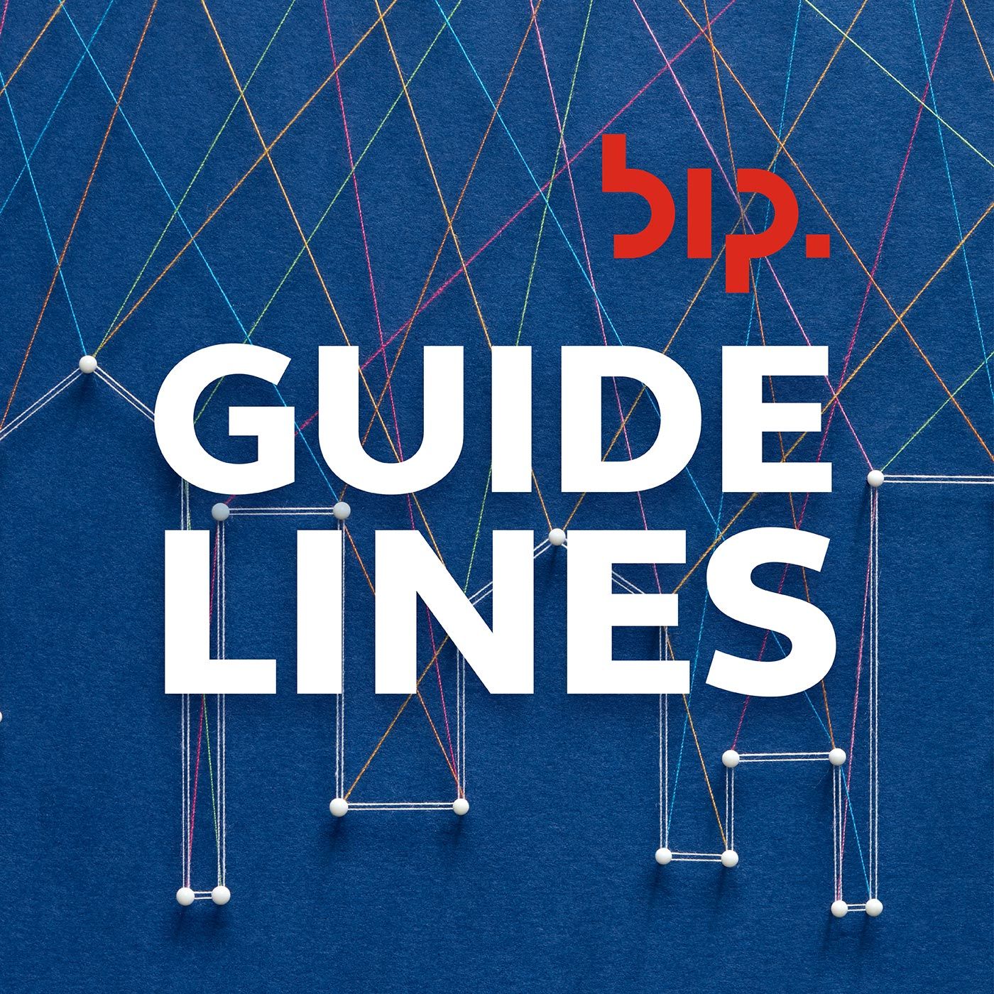 BIP Guidelines
