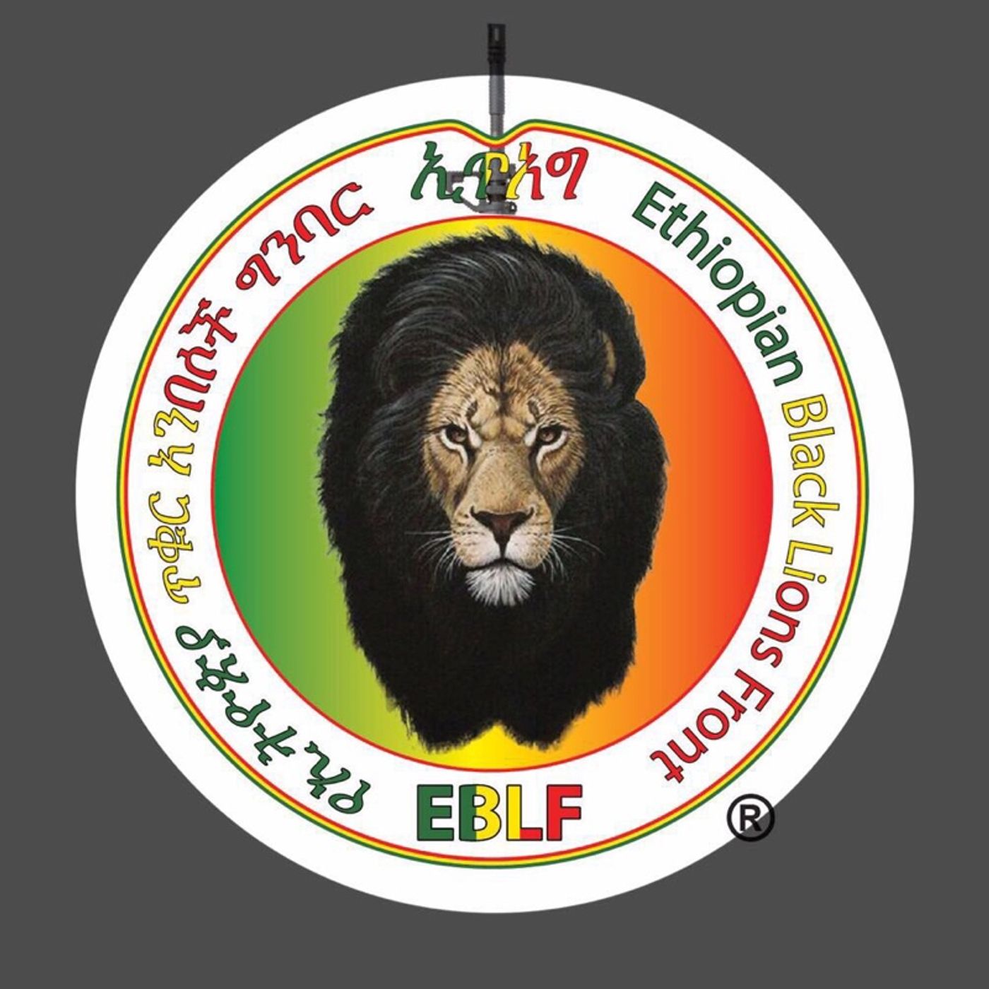 የኢትዮጵያ ጥቁር አንበሶች ግንባር! episode artwork
