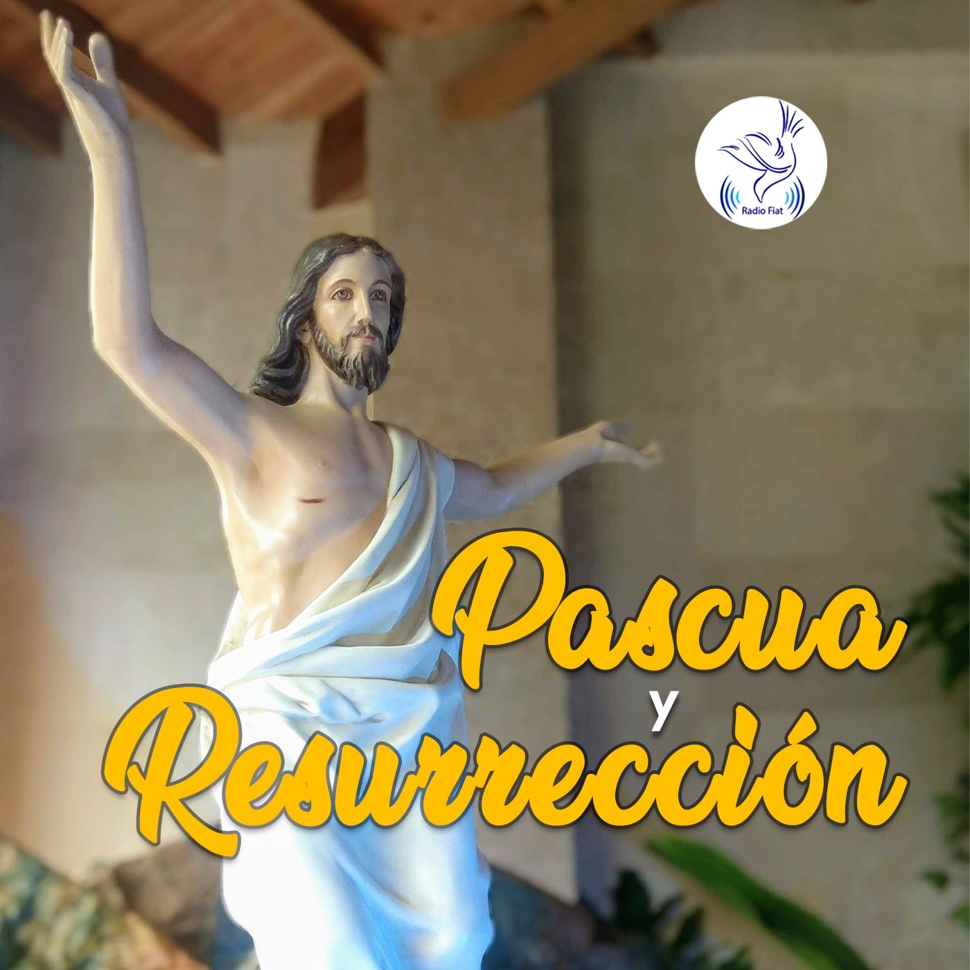 Escucha a Dios - Pascua 02 Creo que Jesús Resucitó episode artwork