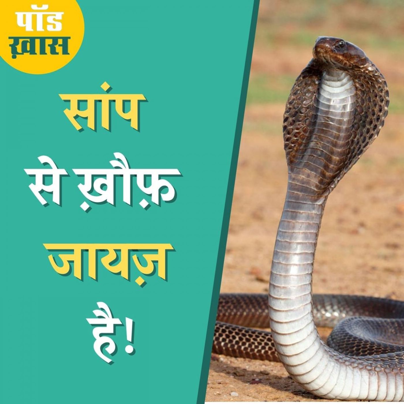 सांप के काटने से सबसे ज़्यादा लोग भारत में क्यों मरते हैं? episode artwork