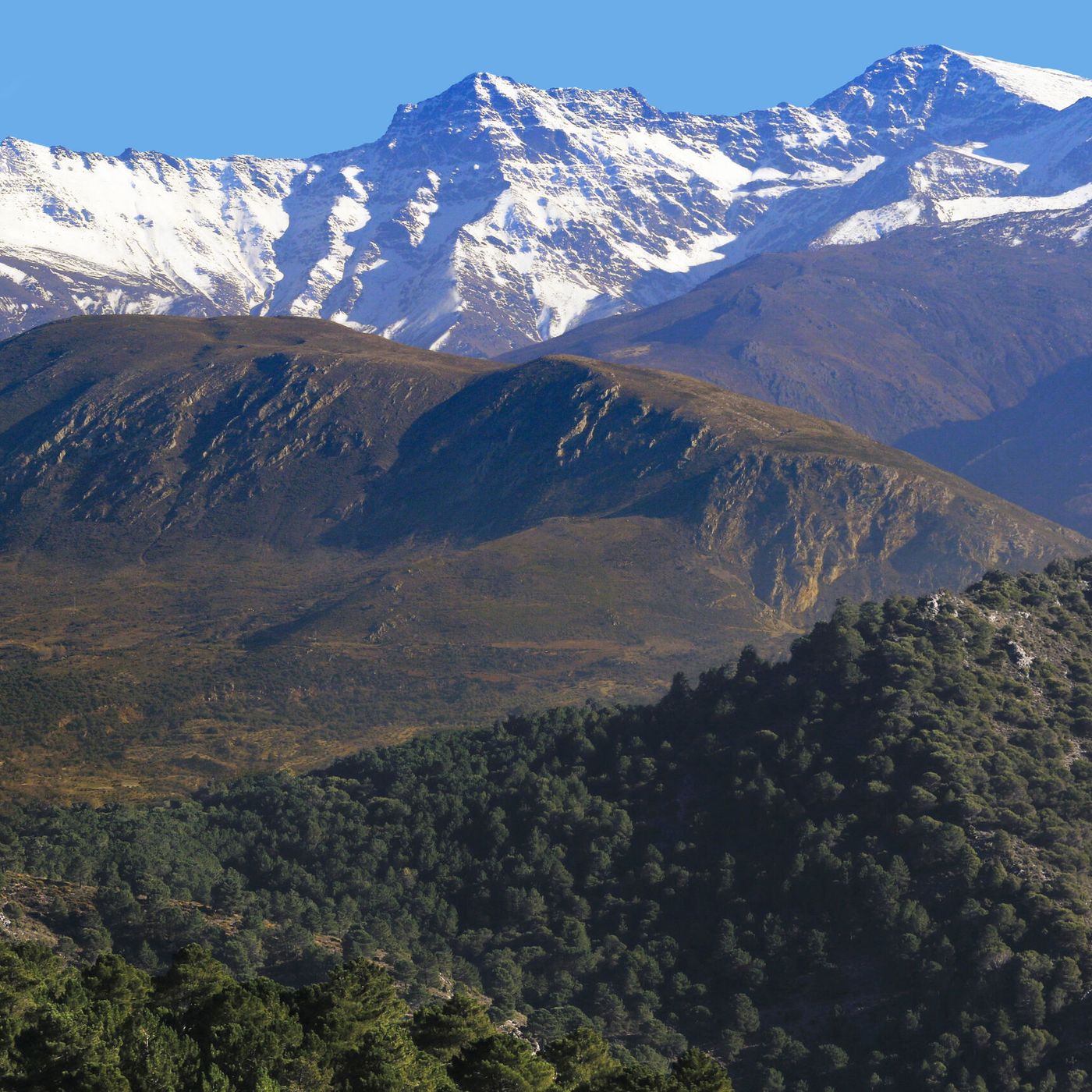 Kelugares: Sierra de Ayllón