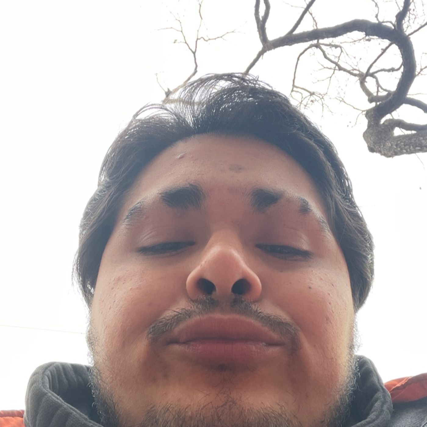 Episode 376 - Hey Now Universe