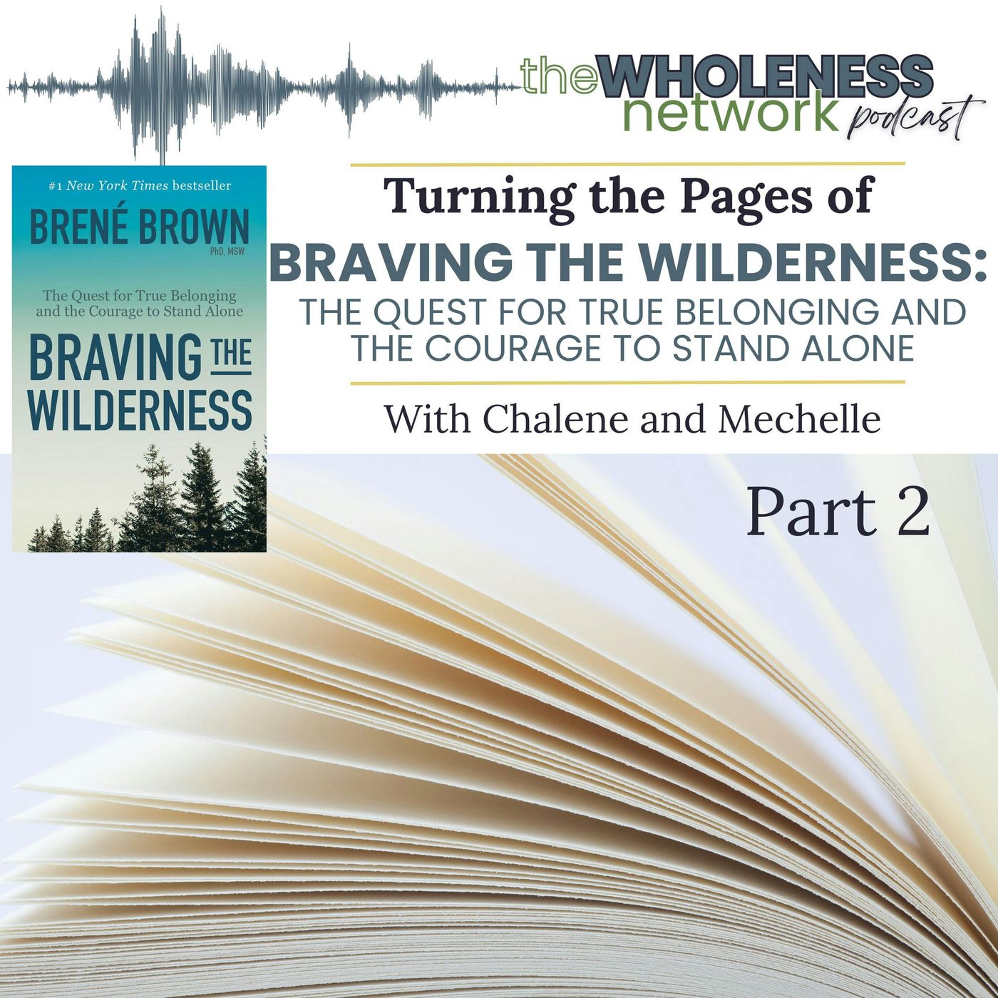 169. Intro to Braving the Wilderness  PART 2 episode artwork