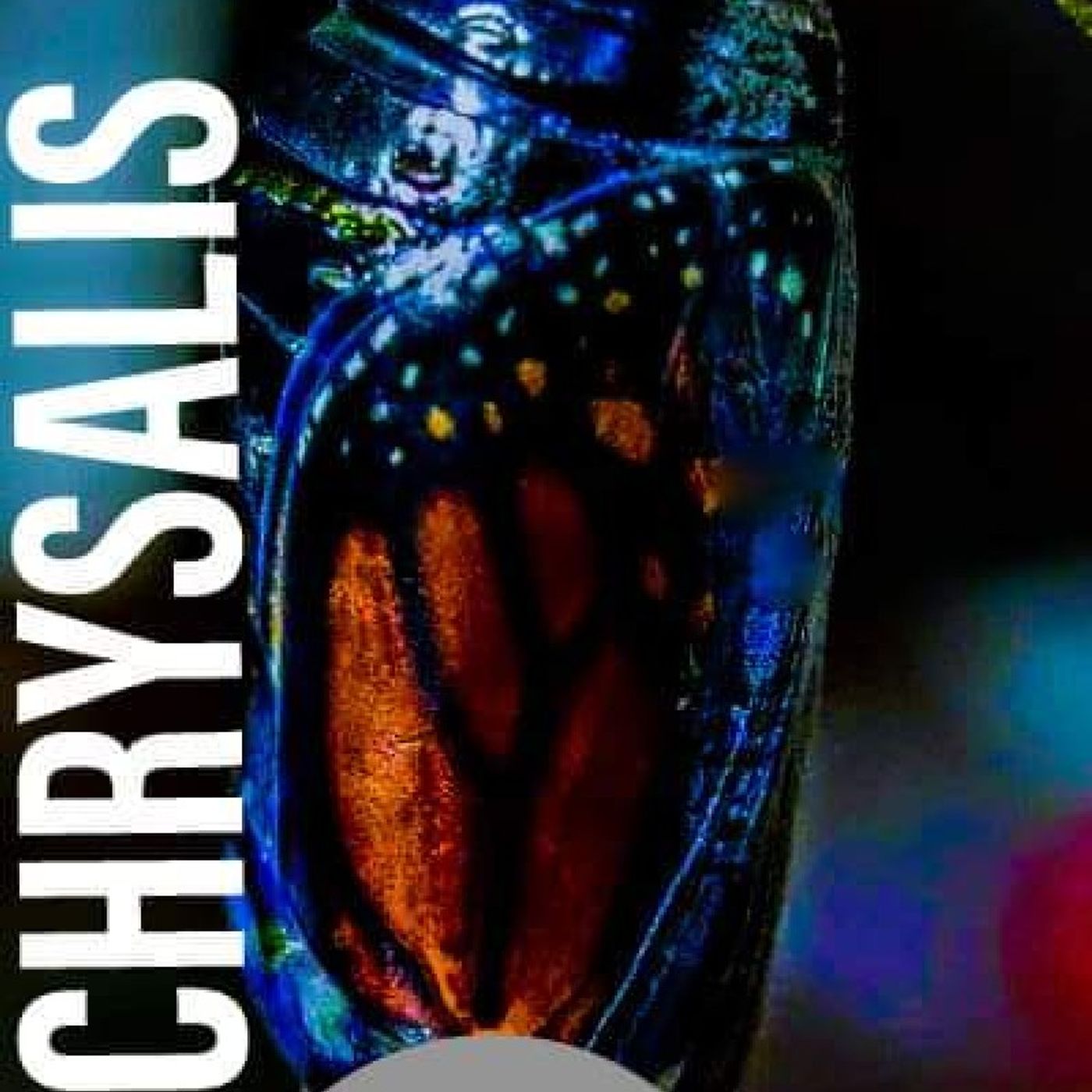 Chrysalis episode artwork