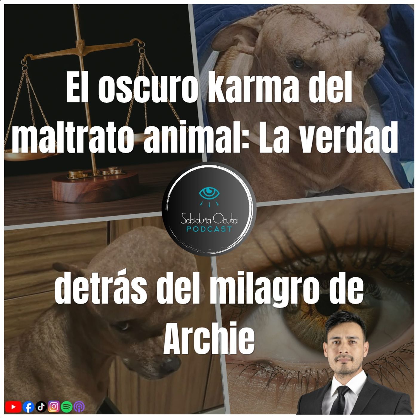 El Oscuro Karma del Maltrato Animal: La Verdad Detrás del Milagro de Archie