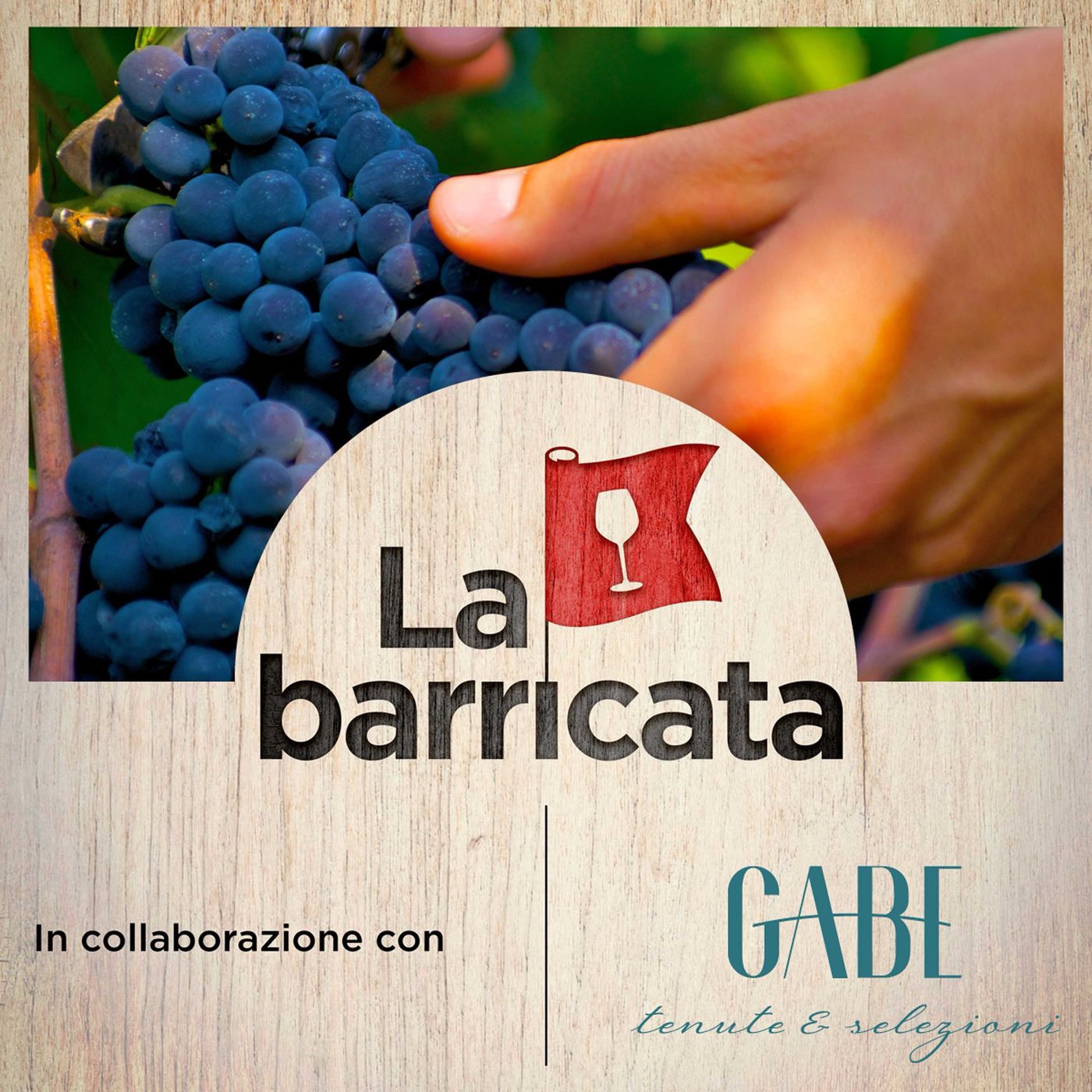 La varietà del Pinot nero in Italia - La barricata, 52 episode artwork