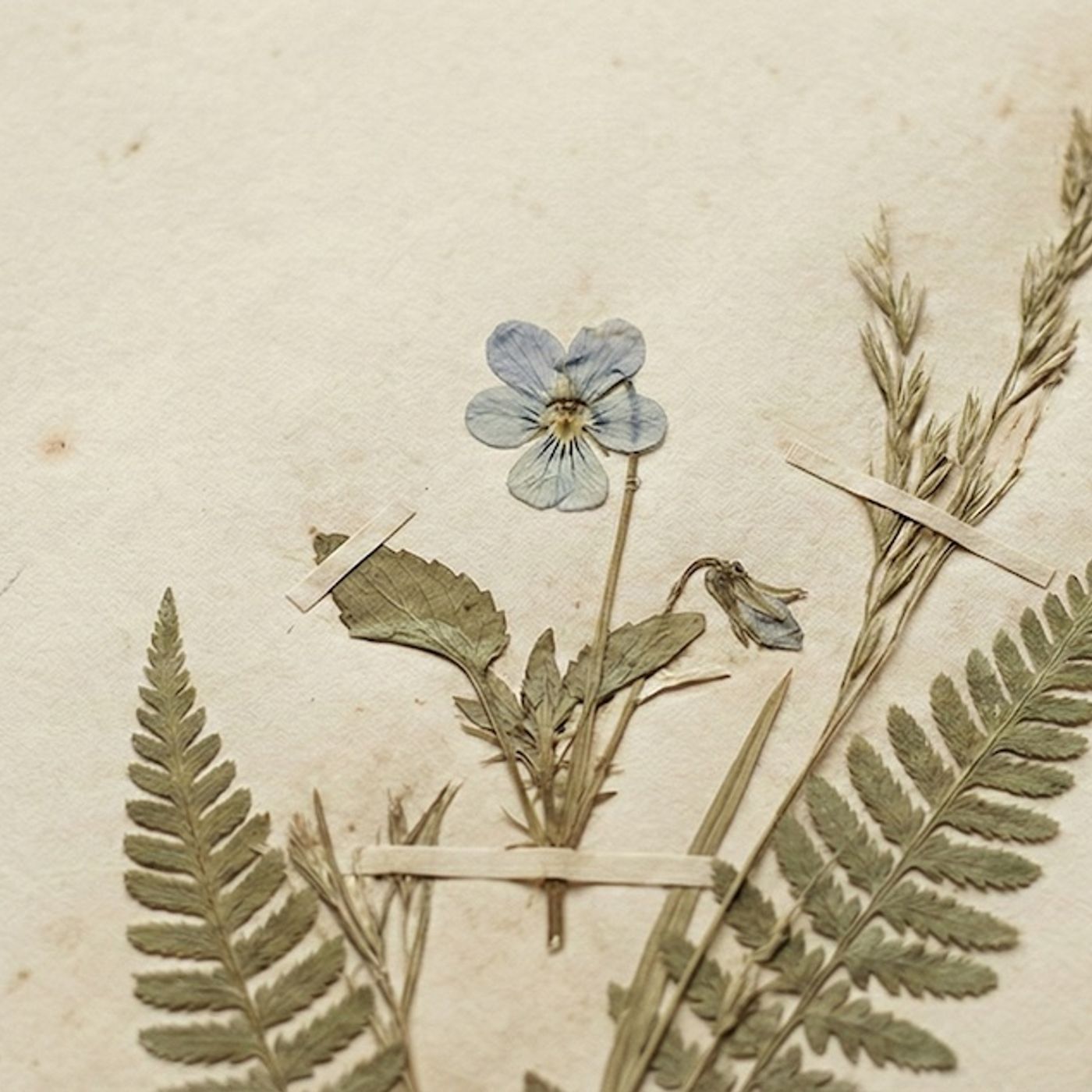 Looting the House of Life Looting the House of Life