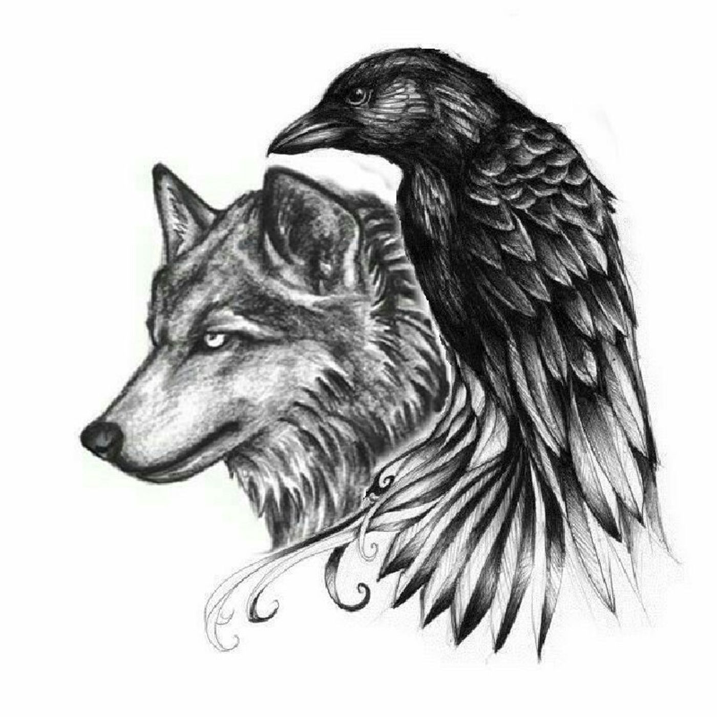 EL LOBO Y EL CUERVO episode artwork