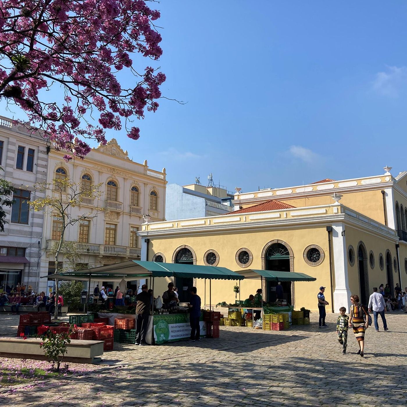 Florianópolis escolhida uma das 20 cidades líderes em resíduo zero do mundo