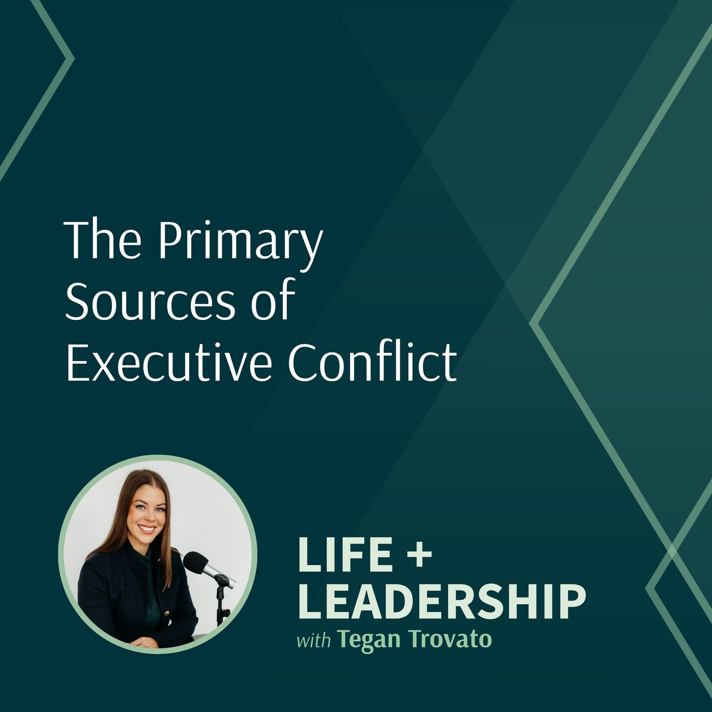 The Primary Sources of Executive Conflict