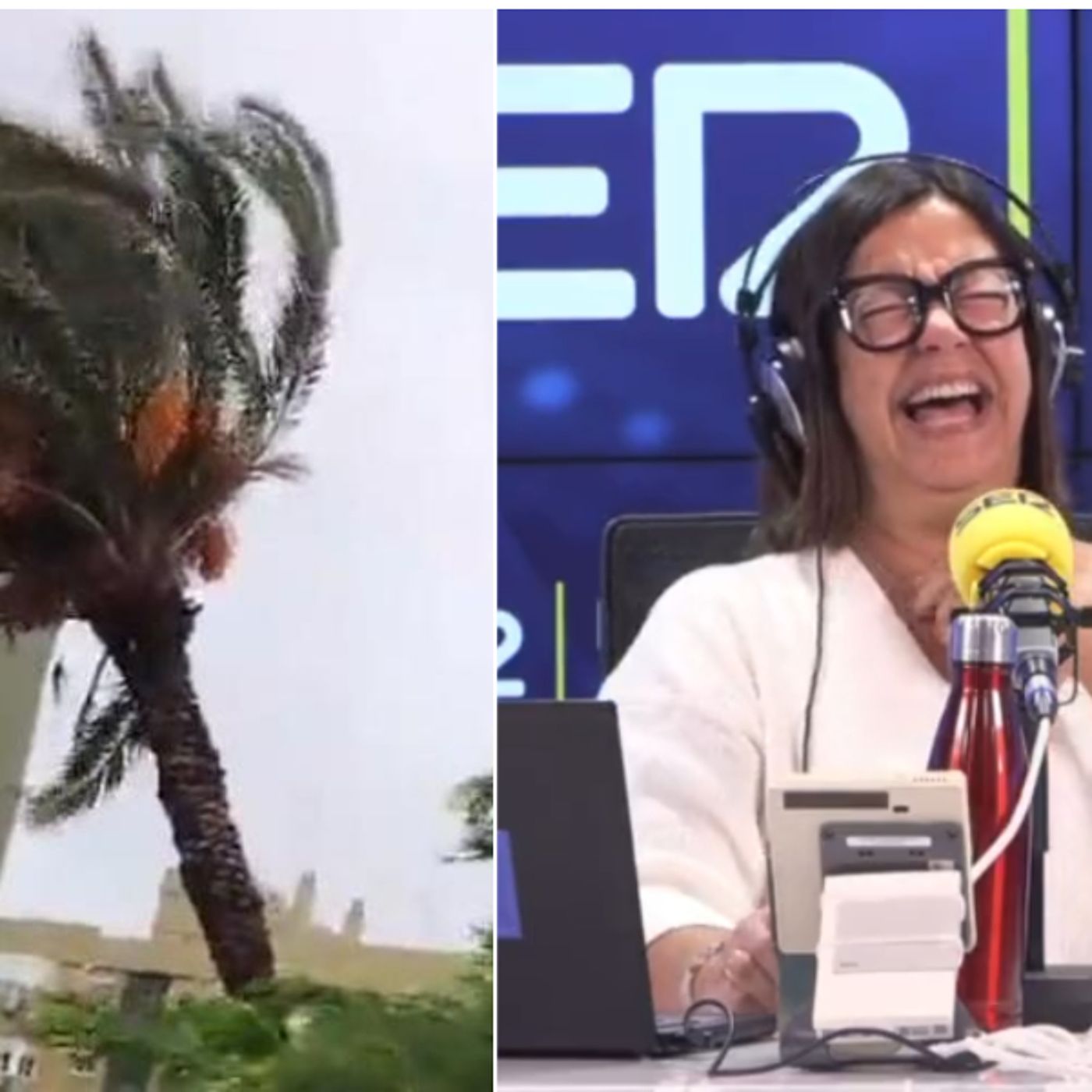 "Se ha caído la palmera, en directo": Àngels y Sastre se parten de risa con un vídeo viral de la caída de una palmera en Sevilla episode artwork