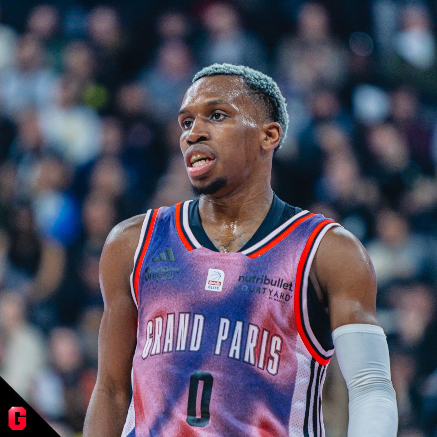 Gigantes Daily, baloncesto al día
