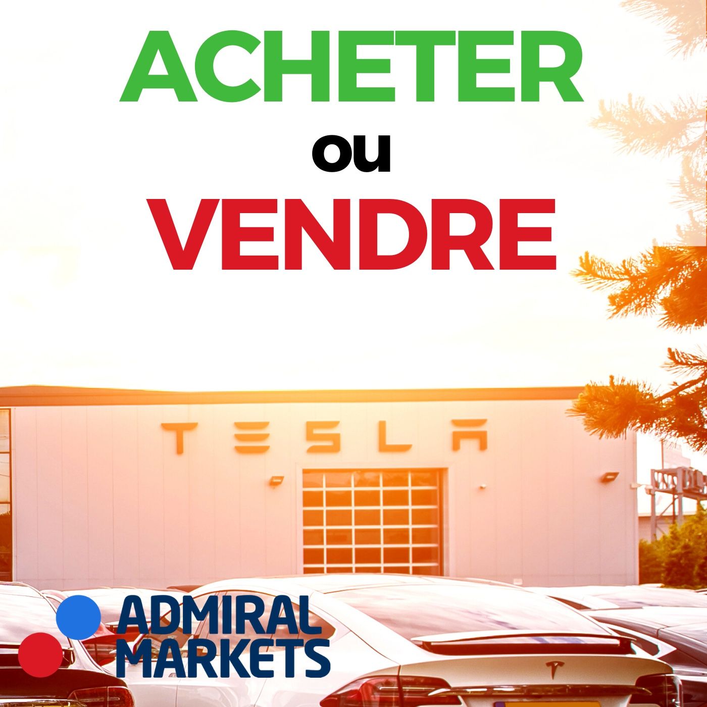 Action TESLA 🔥 Pari Gagnant ou Bulle Spéculative ?