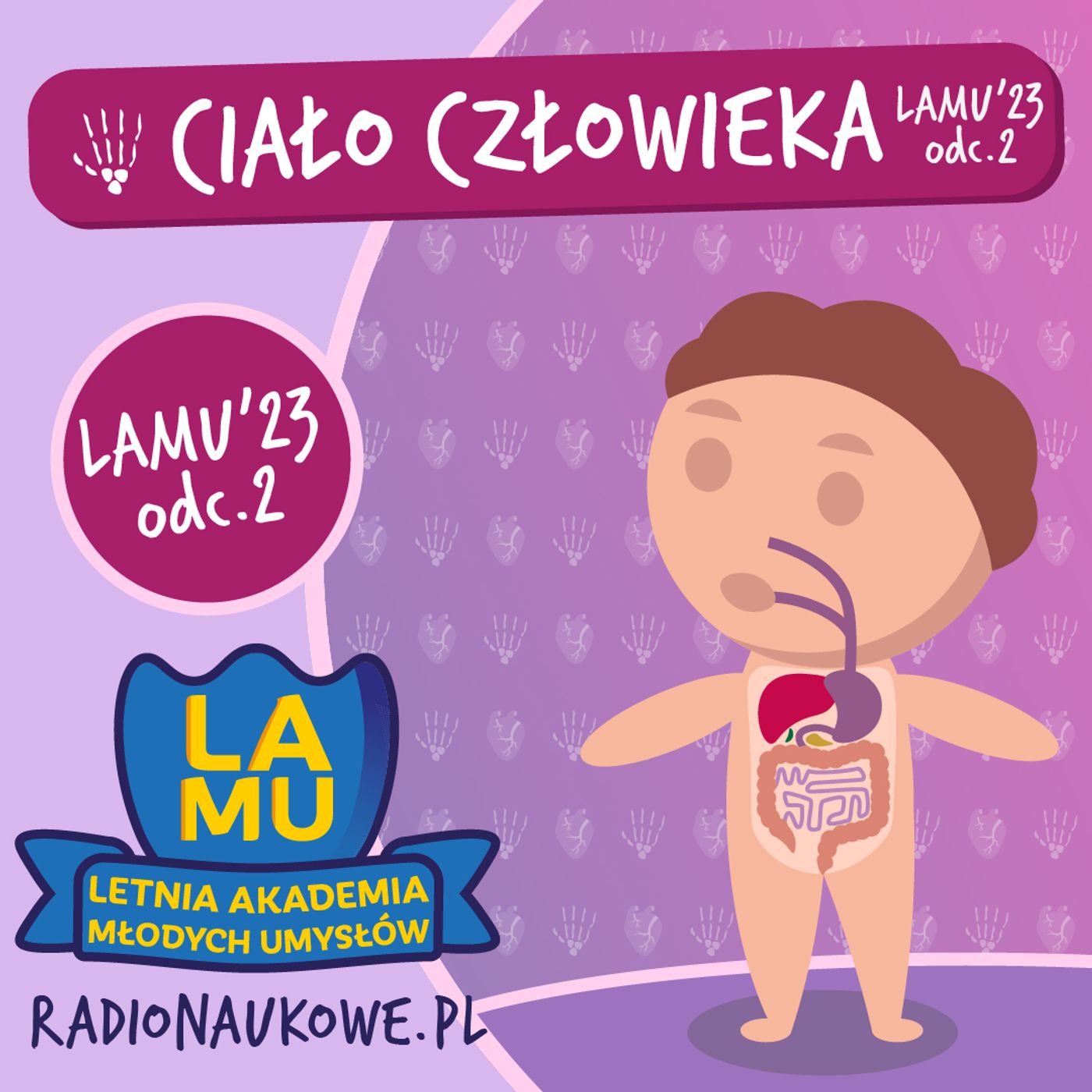 LAMU'23 #02 Z czego składa się kupa? Skąd się biorą smarki w nosie? | Odcinek o człowieku (1)