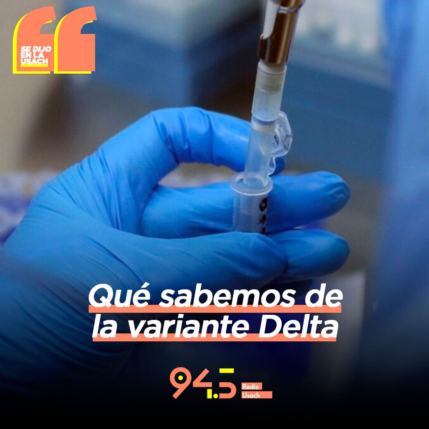 Se dijo en la Usach