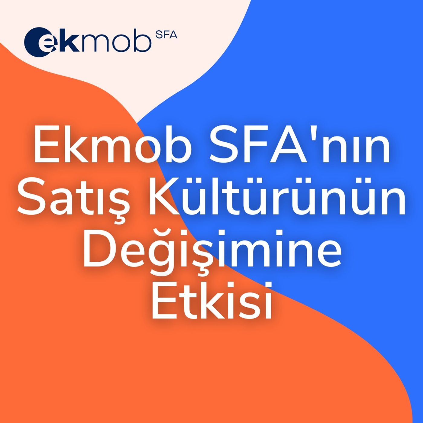 Satış Ekibi Yönetimi