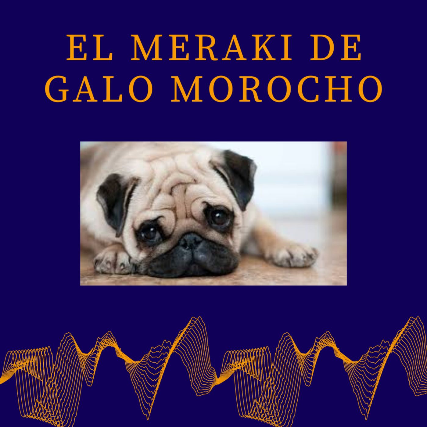 El Meraki de Galo Morocho