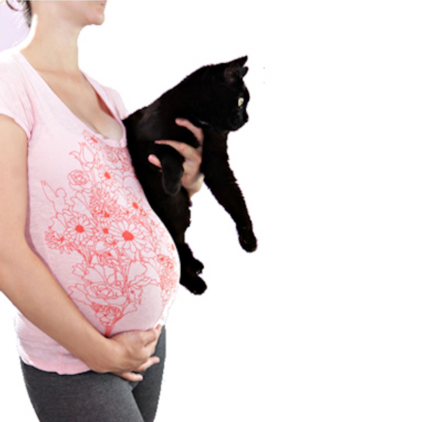 Pregnant? Get Rid Of The Cat! (True or False?) - Dr Jo Sillince