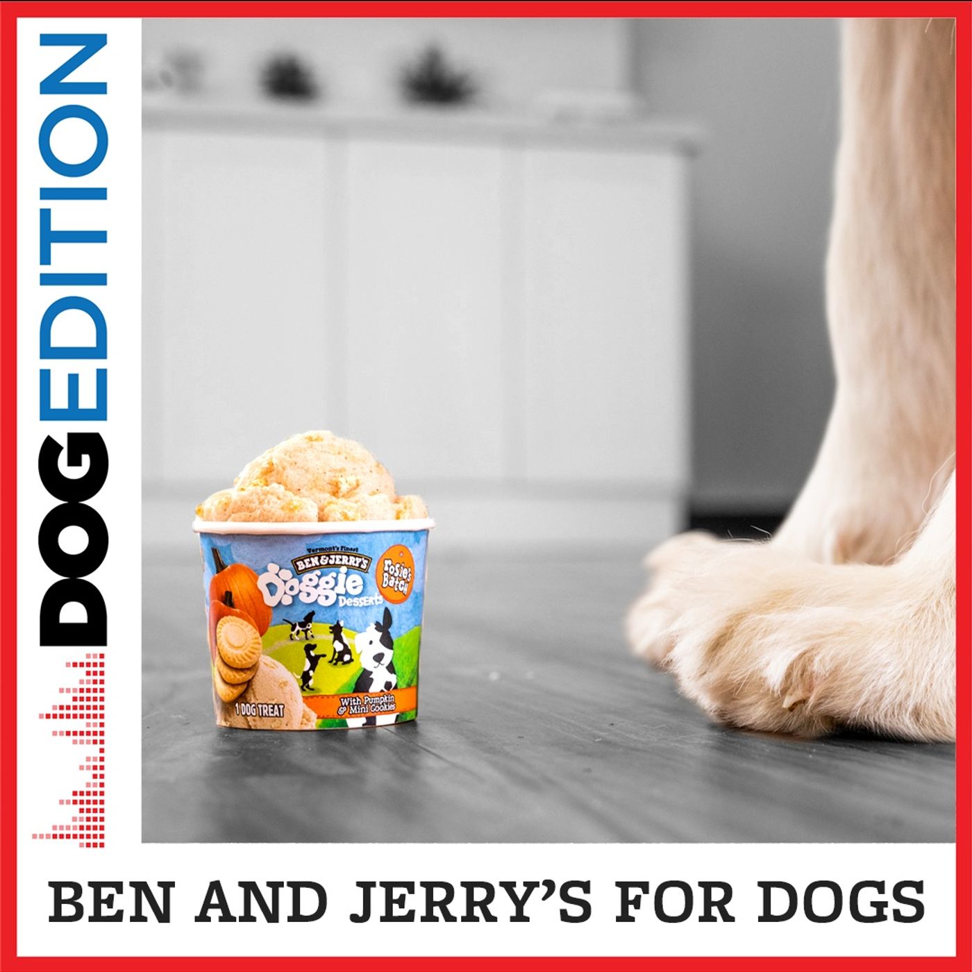 Dog Edition