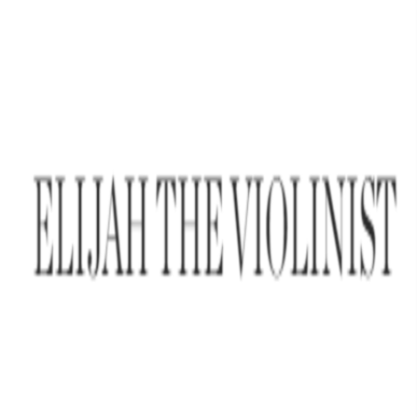Luxury Wedding Violinist Ft. Myers FL podcast artwork