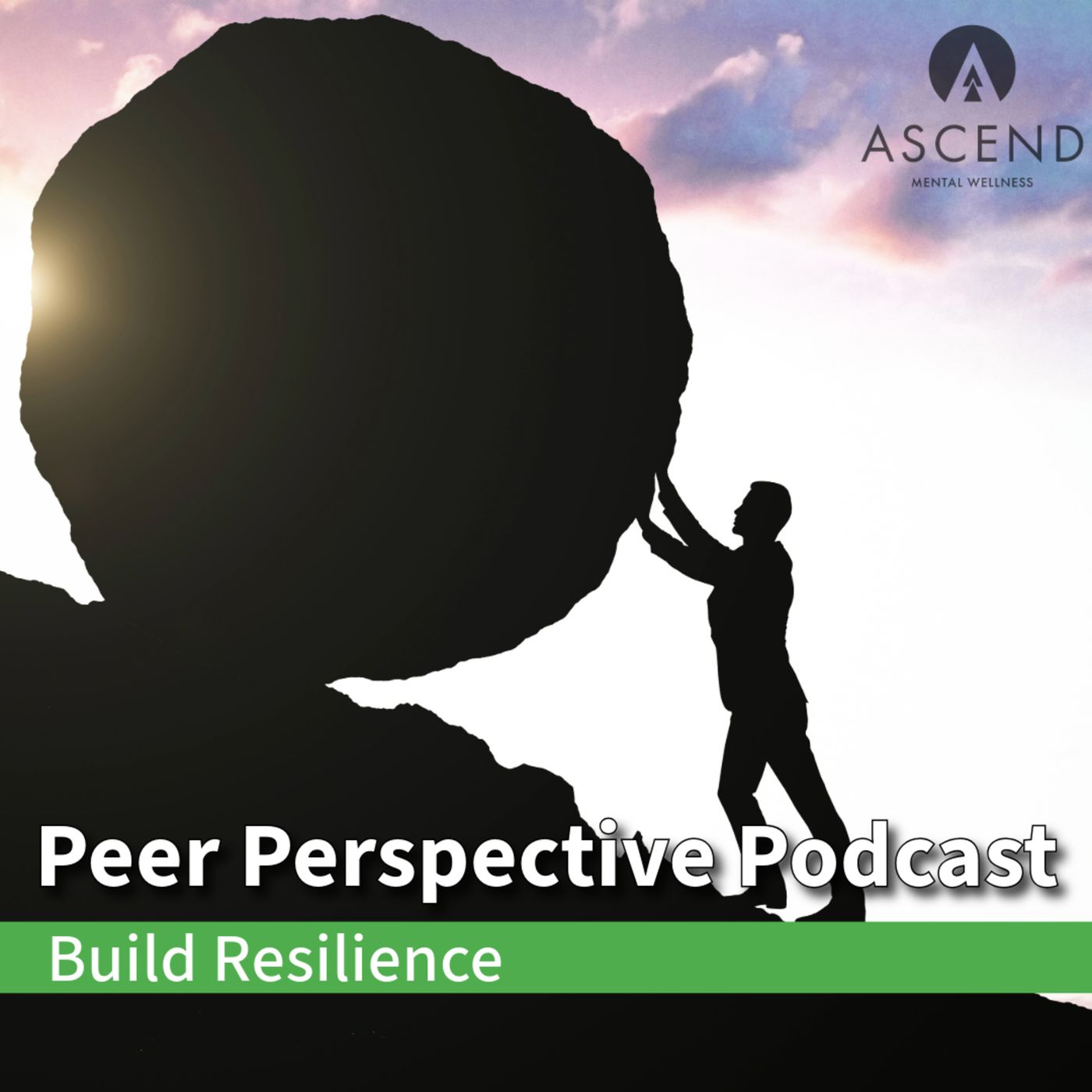 Peer Perspective