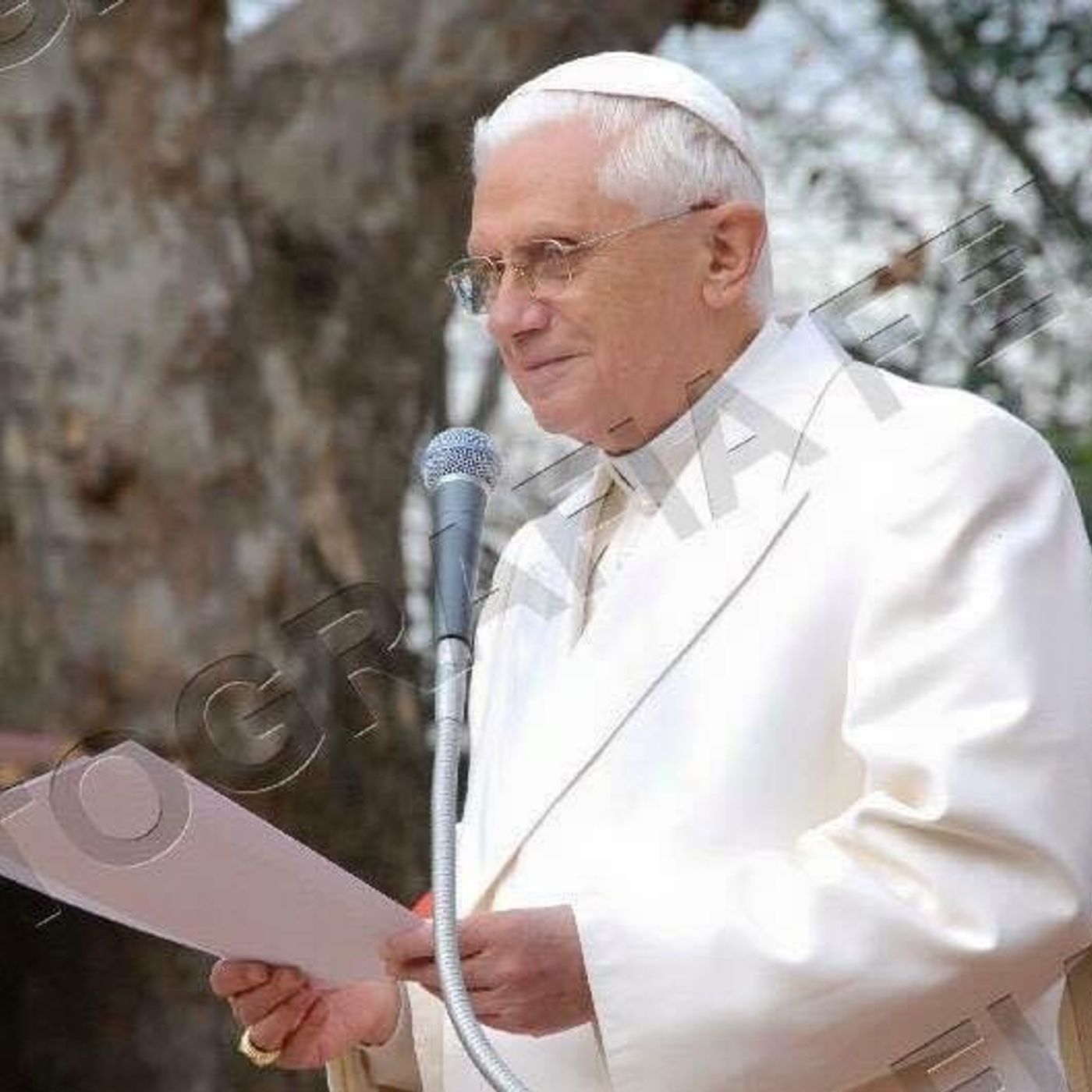 Papa Benedetto 16/SER Gänswein