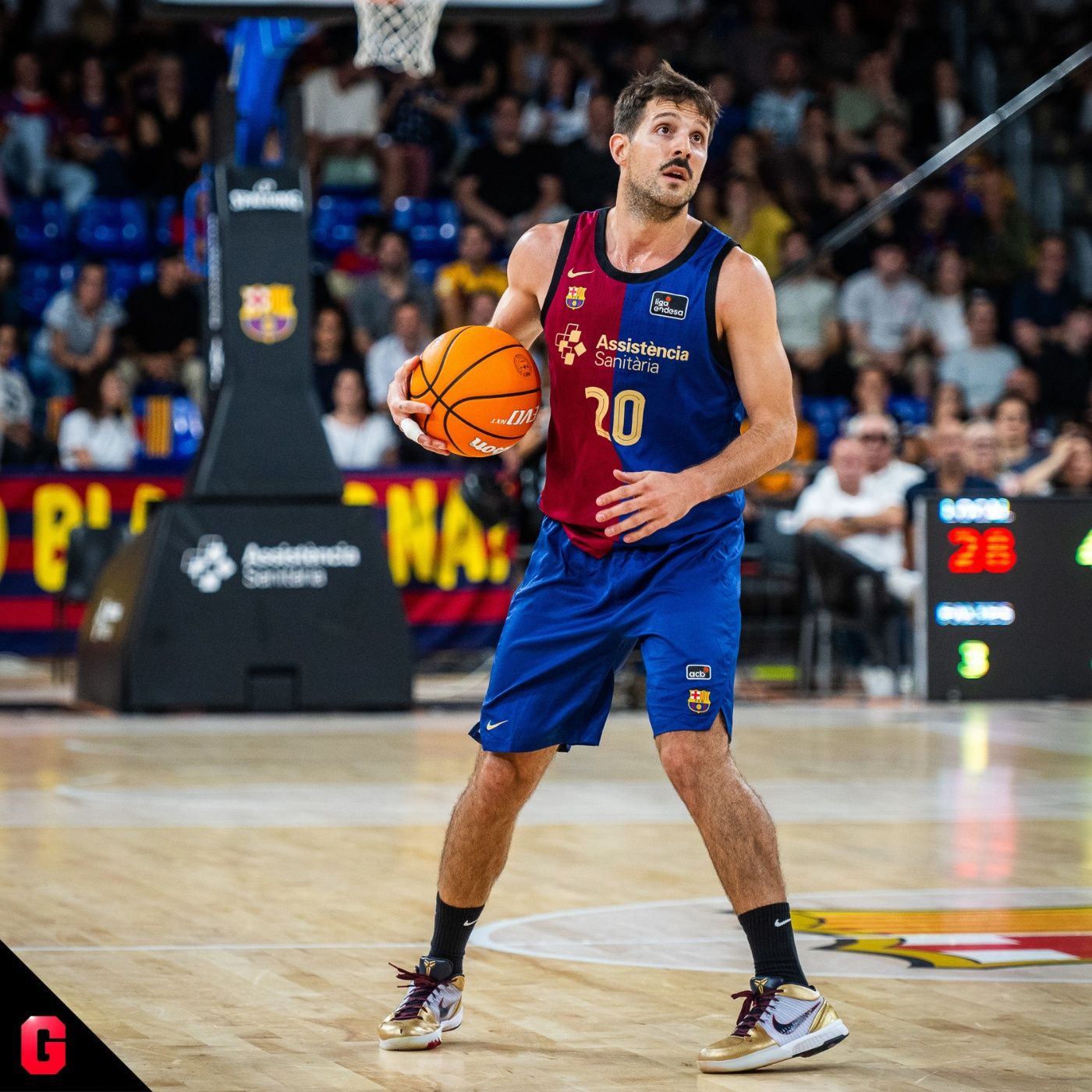 Gigantes Daily, baloncesto al día