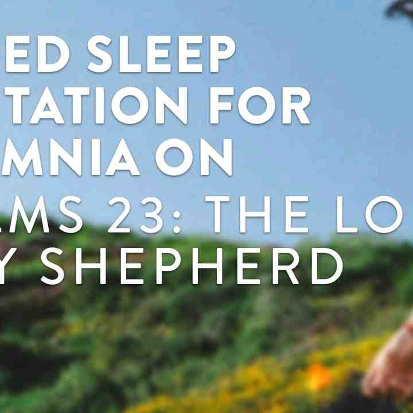 Guided Meditation for Sleep - Psalms 23 (2 hours episode artwork