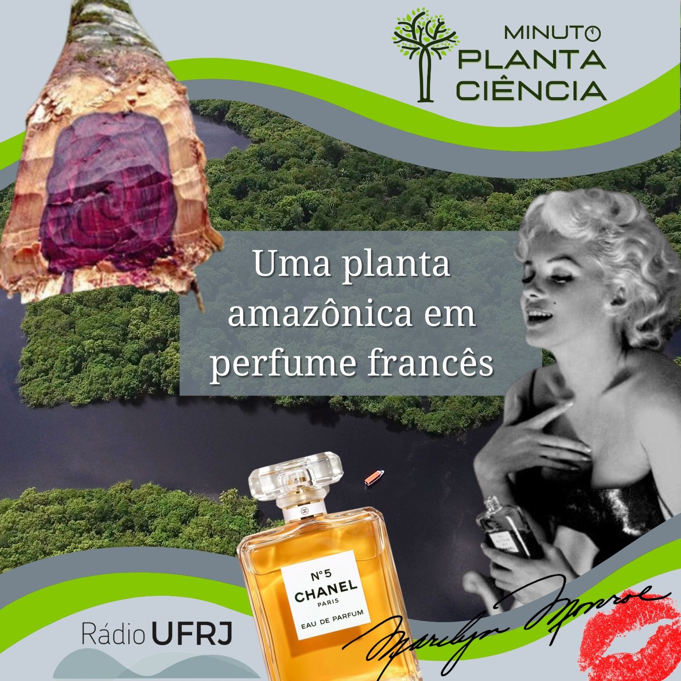 PlantaCiência