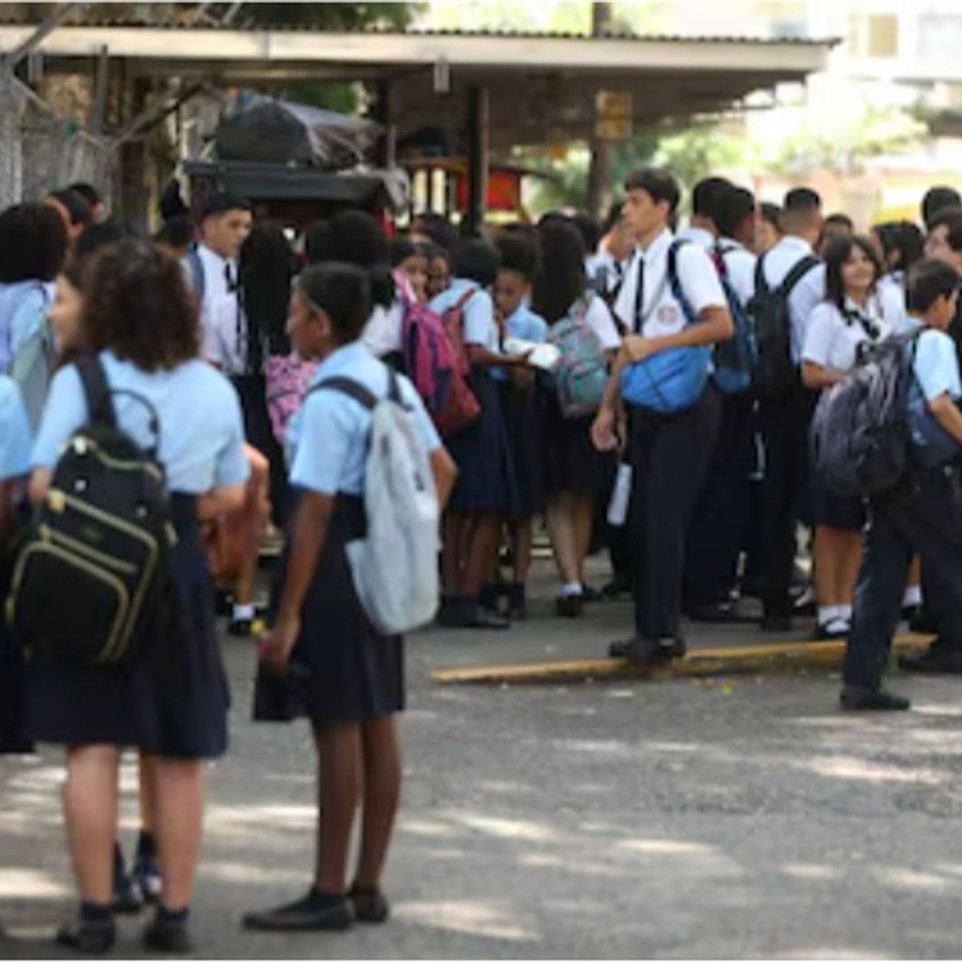 Propósitos fundamentales de la educación