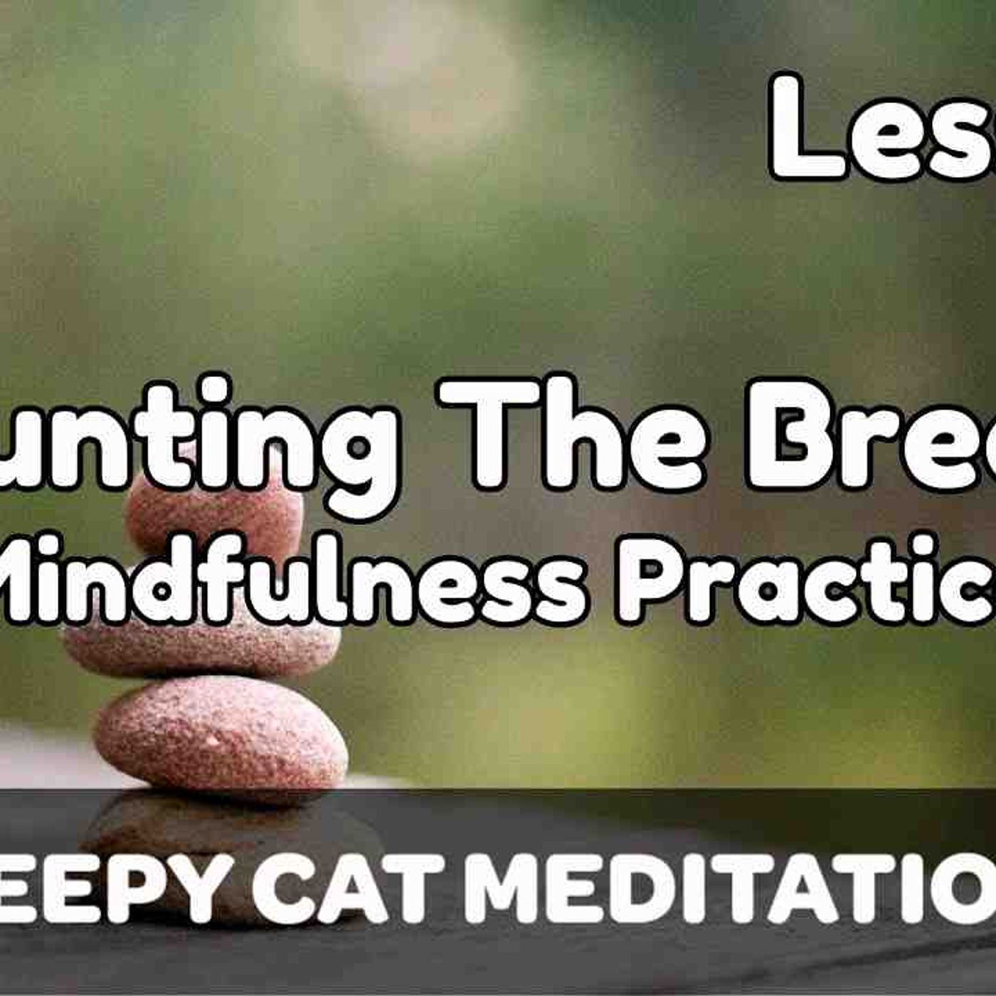 Lesson 6_ Counting the Breath - Mindfulness_ Presence _ Stillness (Beginner Breathwork Course)(MP3_160K) episode artwork