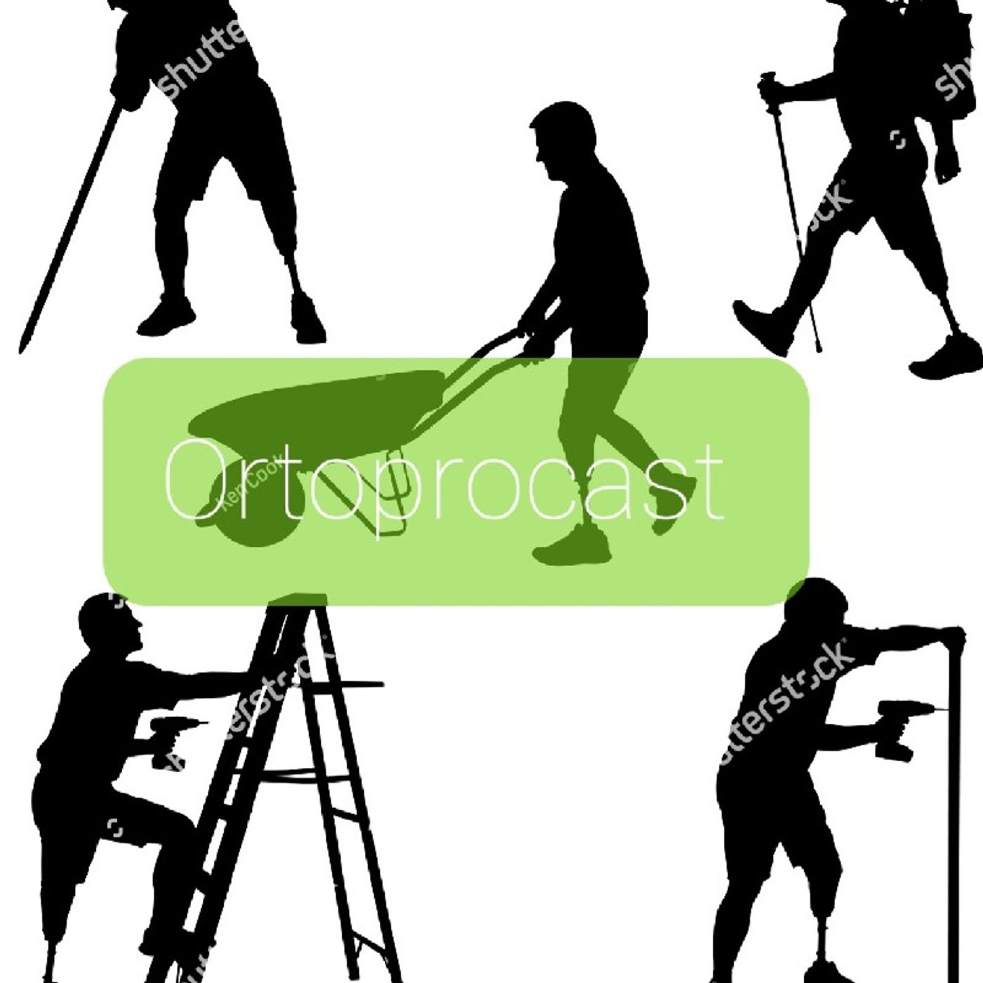 Ortoprocast