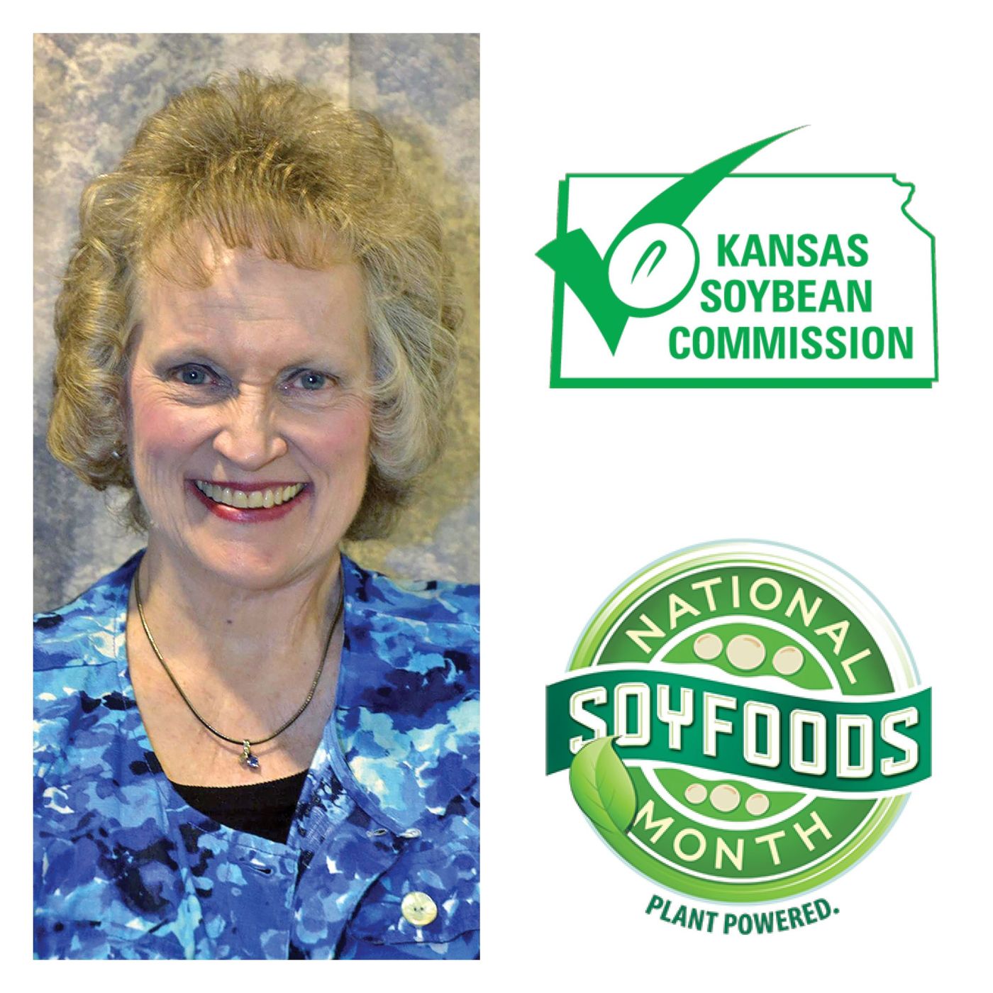 National Soyfoods Month, New Soyfoods Guide episode artwork