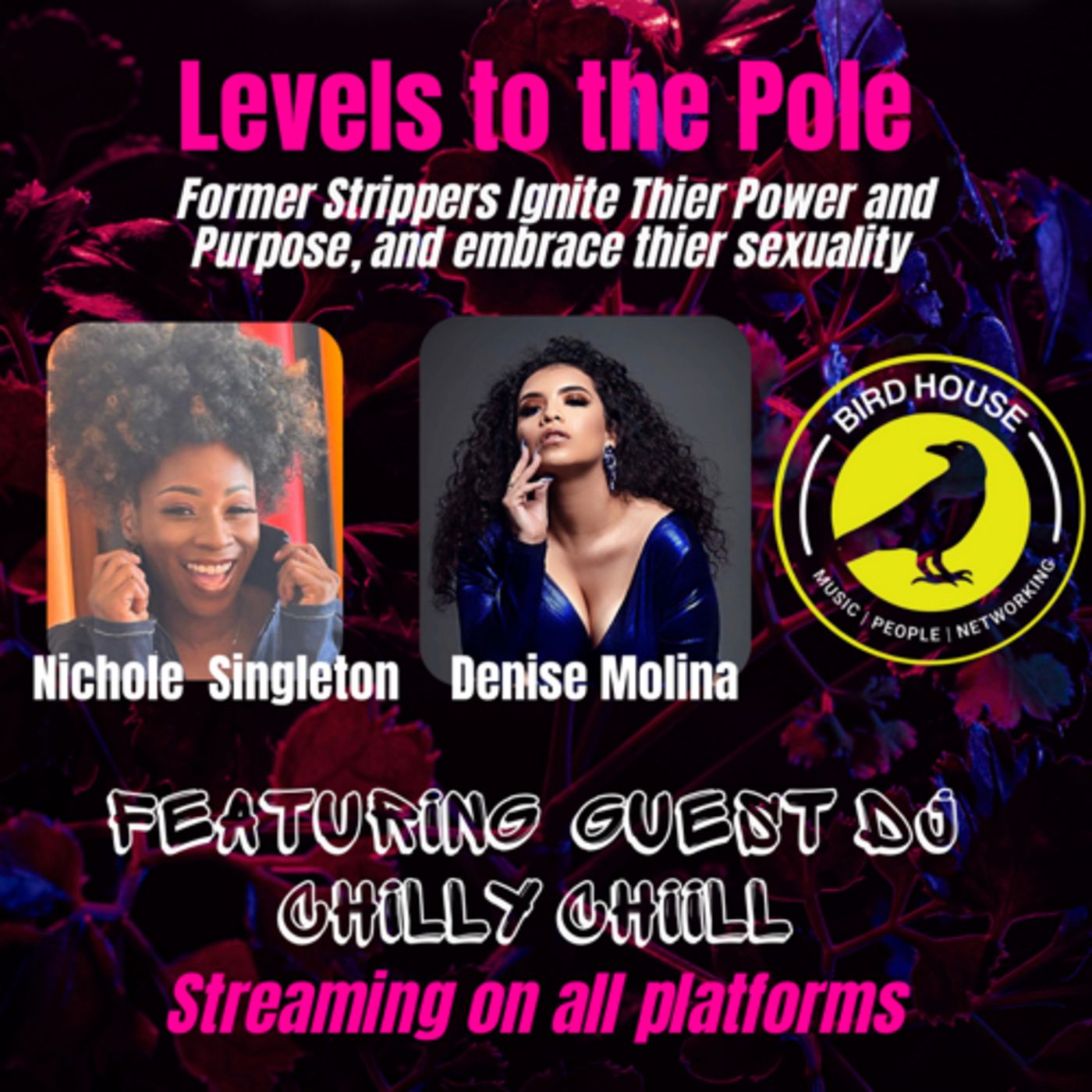 Levels to the Pole: Former Strippers Step Into their Purpose and Empower Others thumbnail