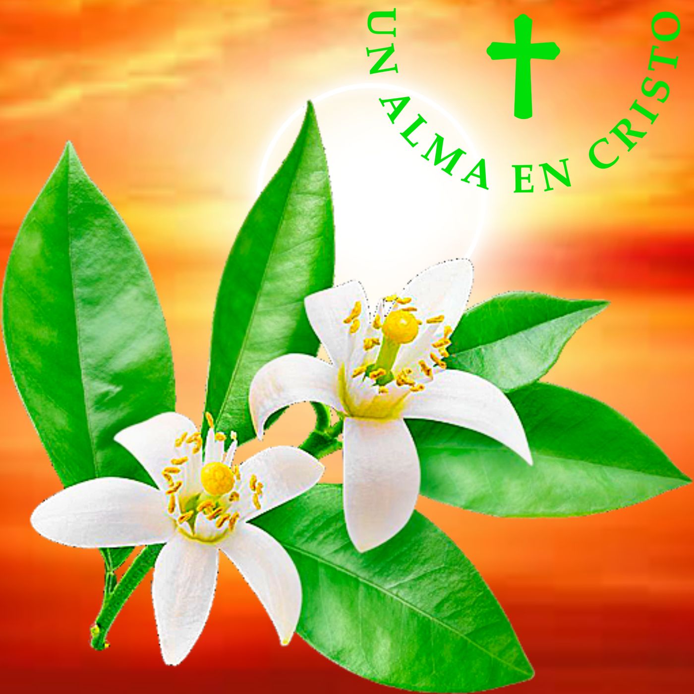 Un alma en Cristo UAC