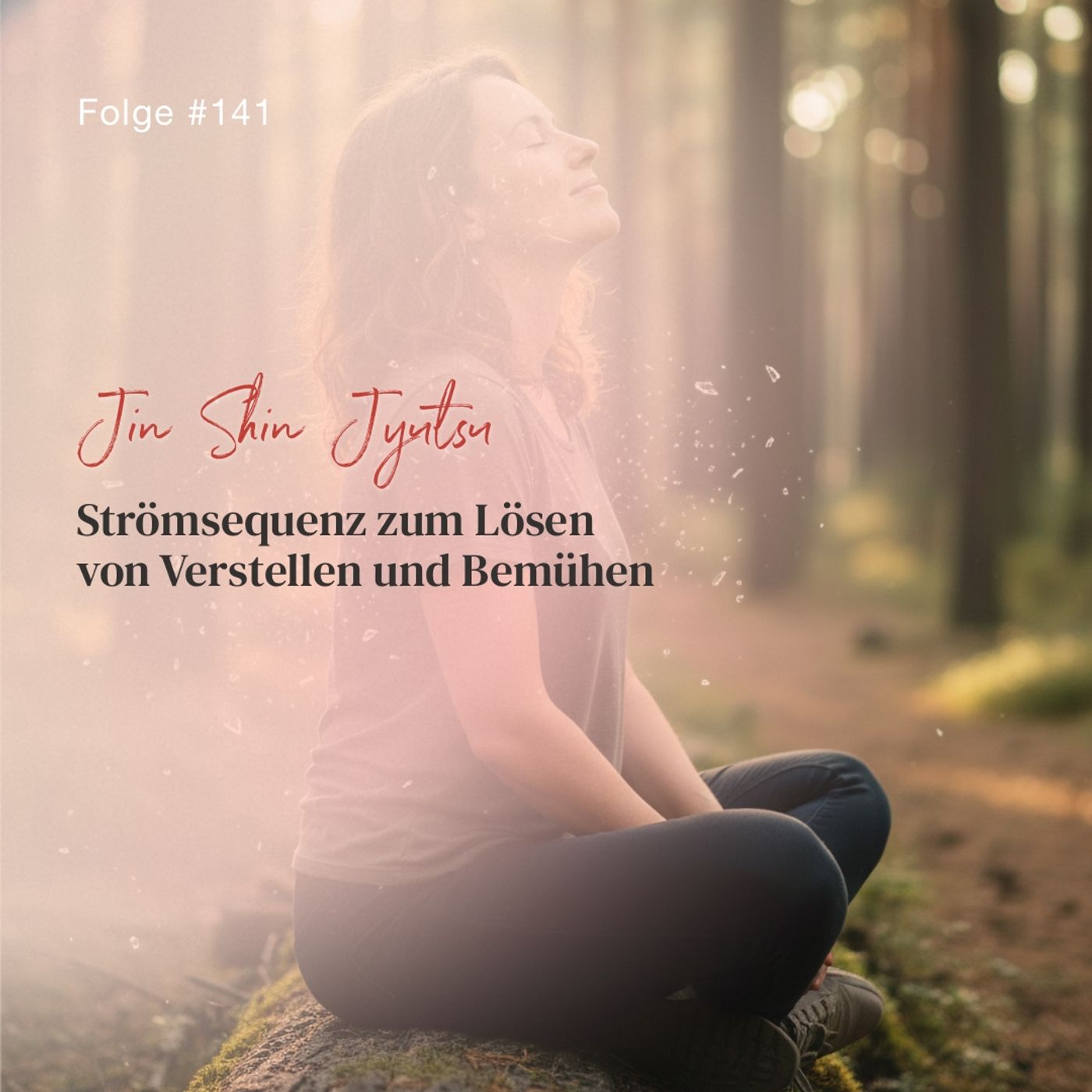 Strömsequenz zum Lösen von Verstellen und Bemühen | ca. 25 Min | Folge 141 episode artwork