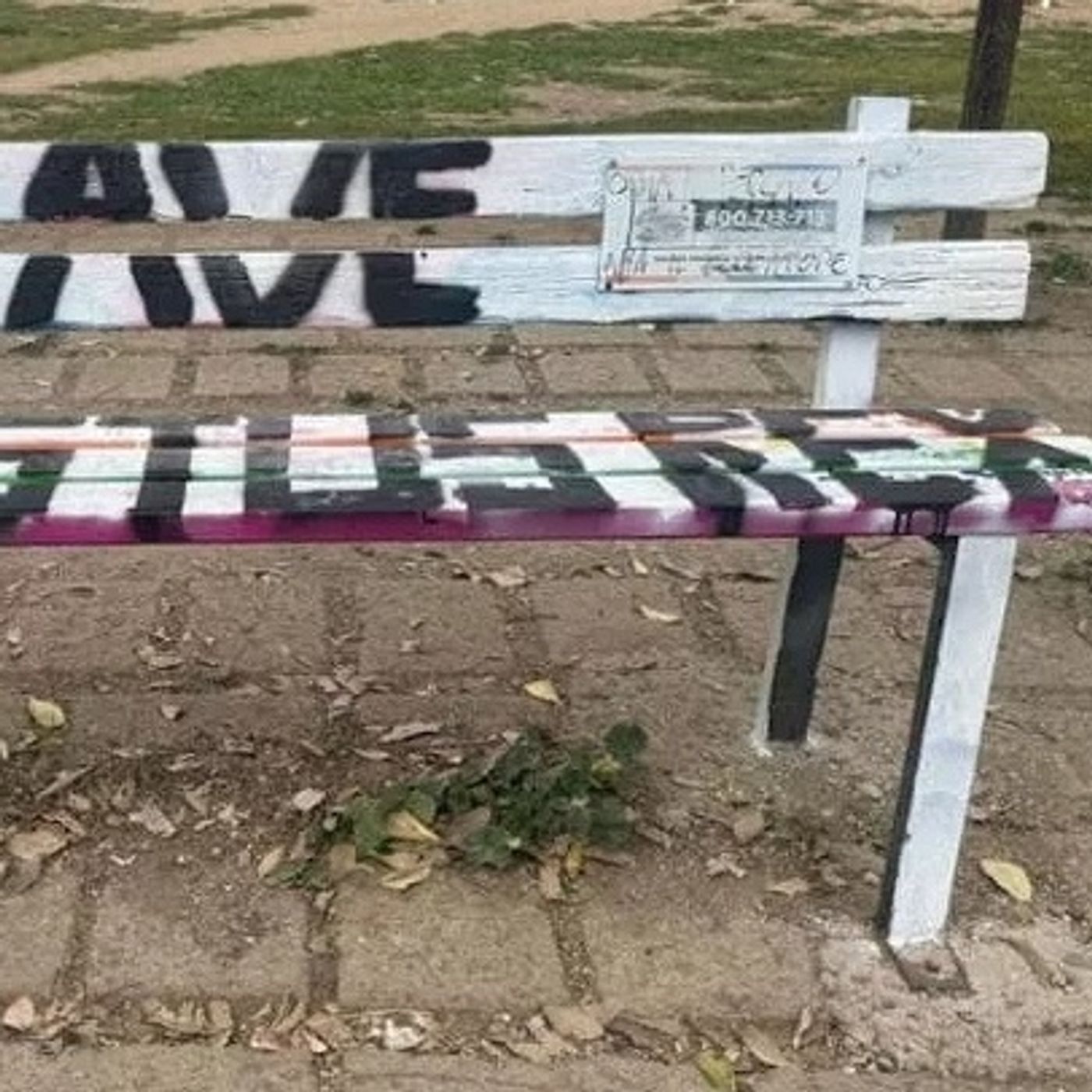 #839 Emergenza sfratti in senato, blitz omofobo al Parco delle Valli e altre storie di Roma episode artwork