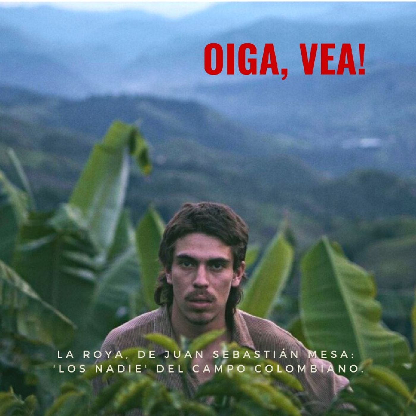 Oiga, Vea!