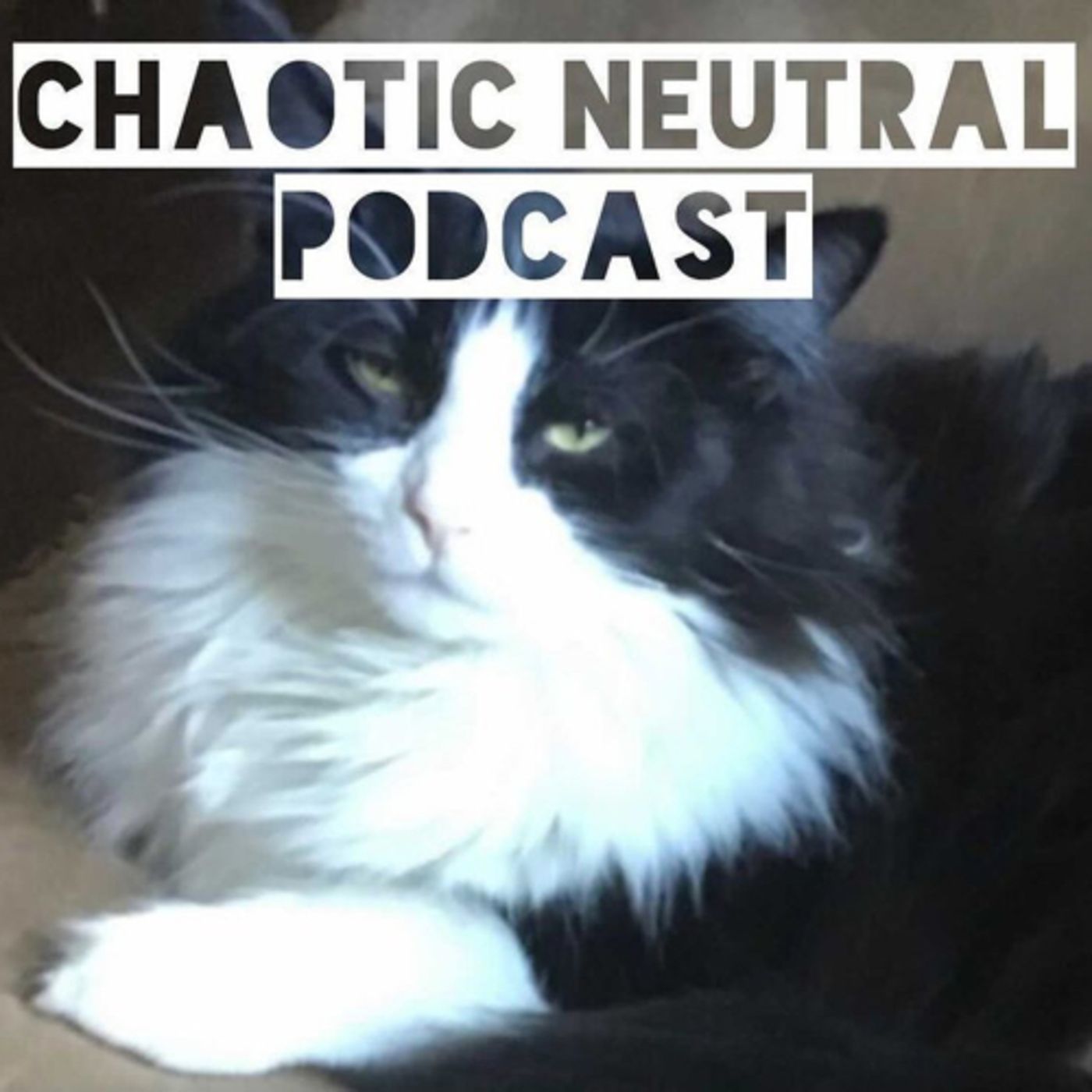 Vacation, school subjects, and Monster High ft. Let me be Frank podcast