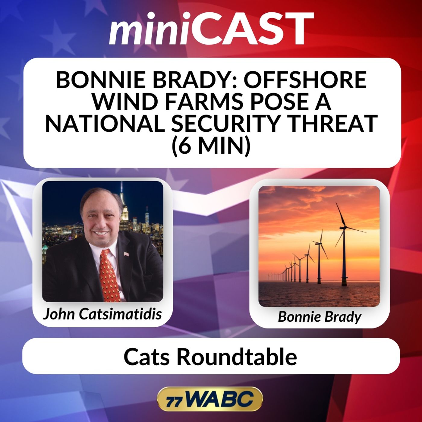 Bonnie Brady: Offshore Wind Farms Pose a National Security Threat (6 min) episode artwork