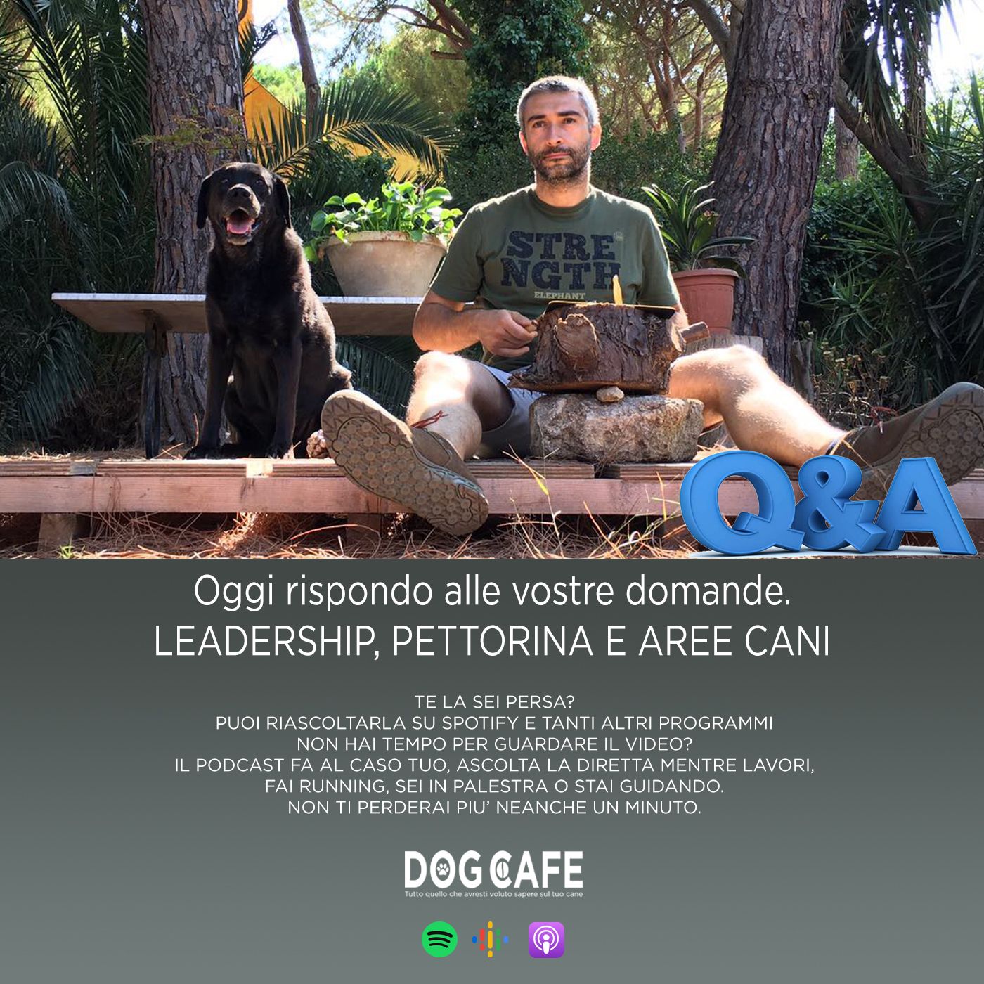 Dog Cafe Podcast