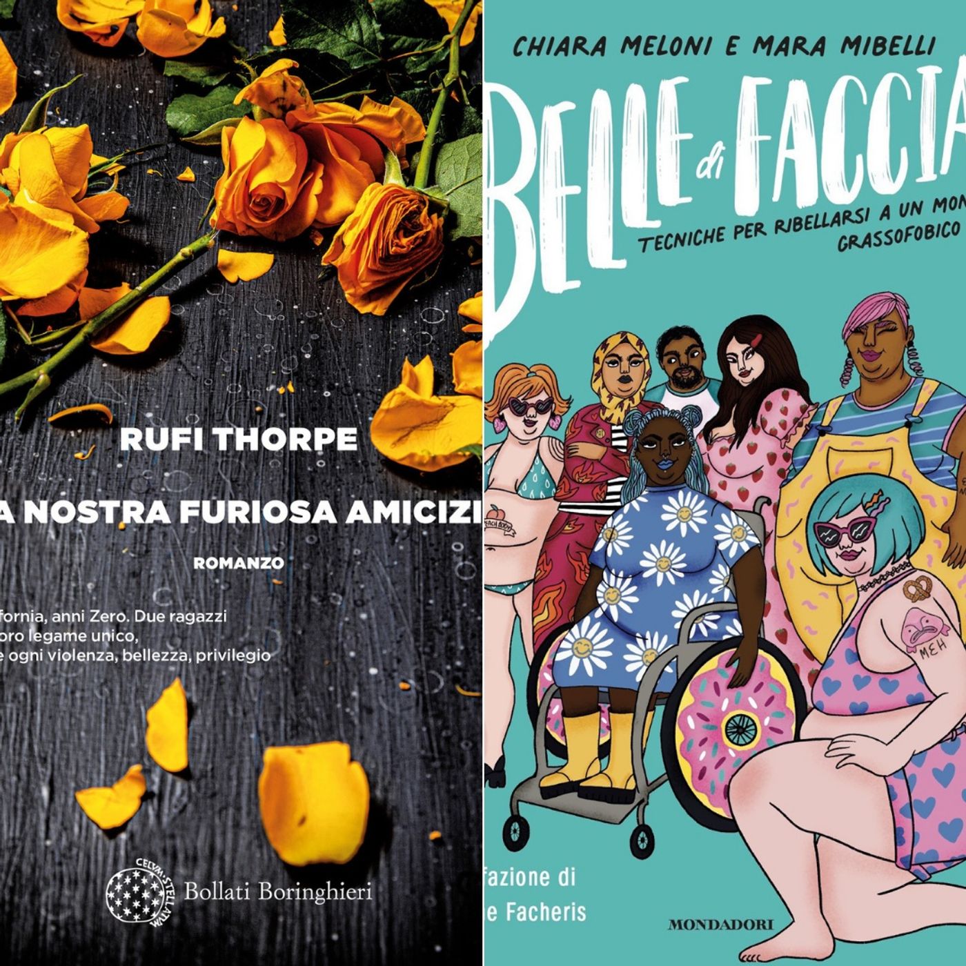 Archivio: Bookblister