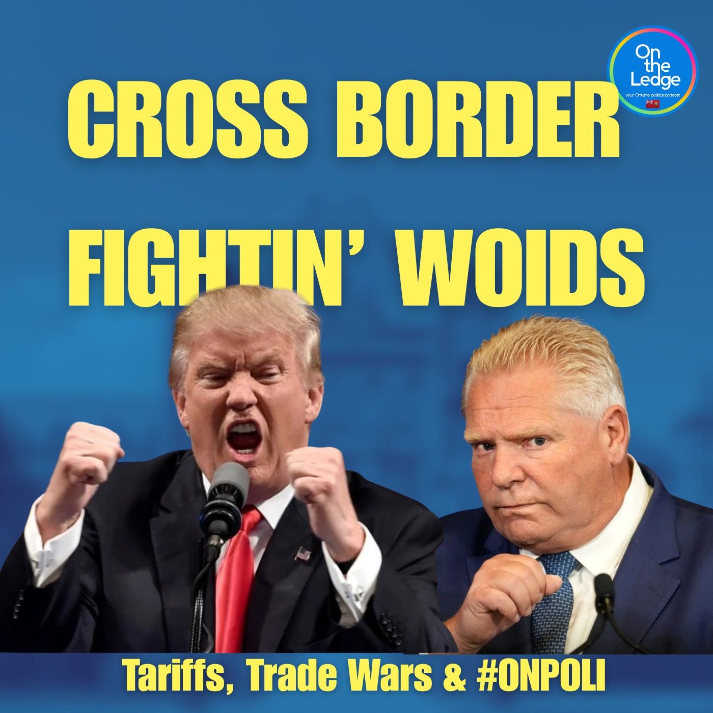 Niagara Amalgamation: 126 Politicians, Big Costs & a Regional Reckoning