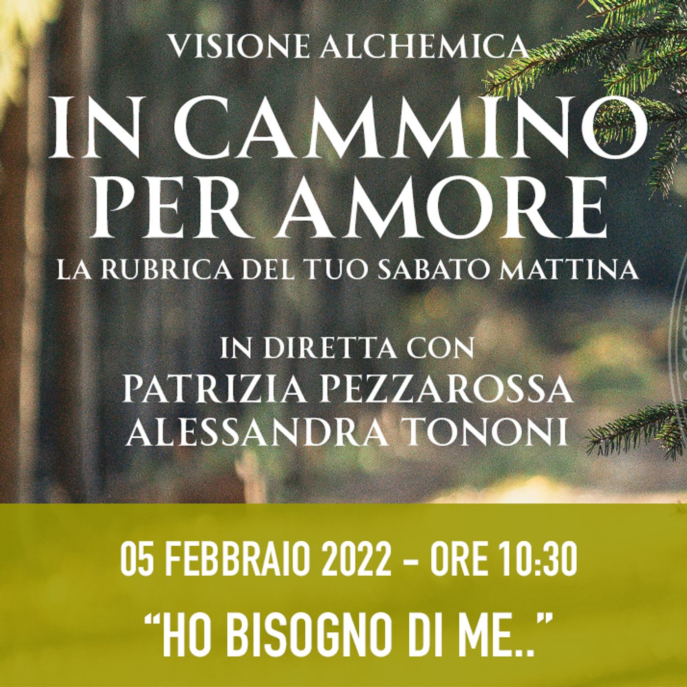 Visione Alchemica