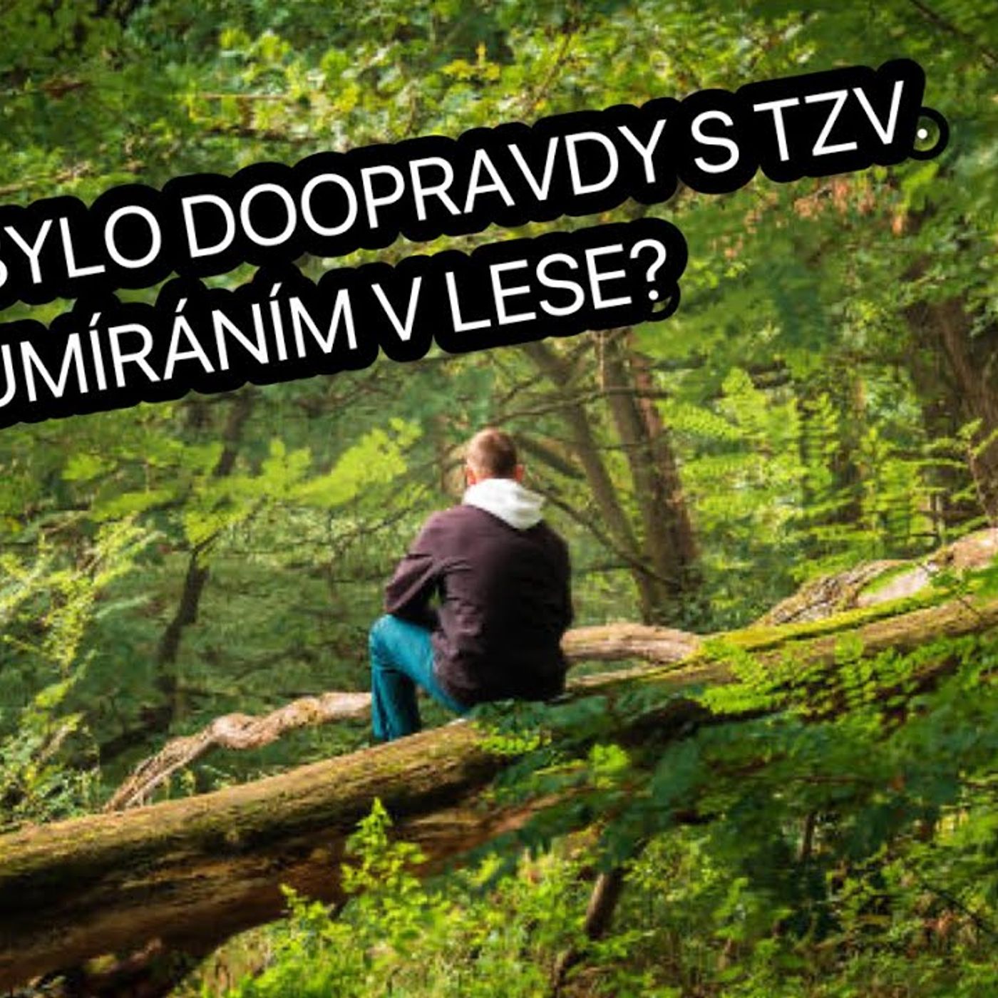 Trhliny v oficiálním příběhu sekty Immanuelitů