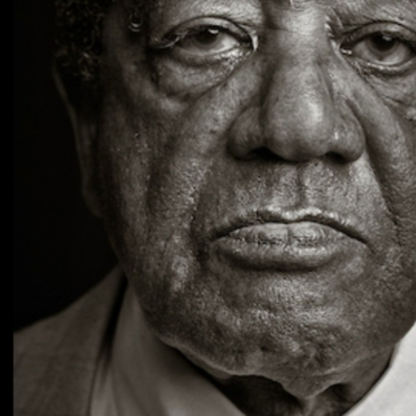 21st Century Black Panthers Rcdhpn