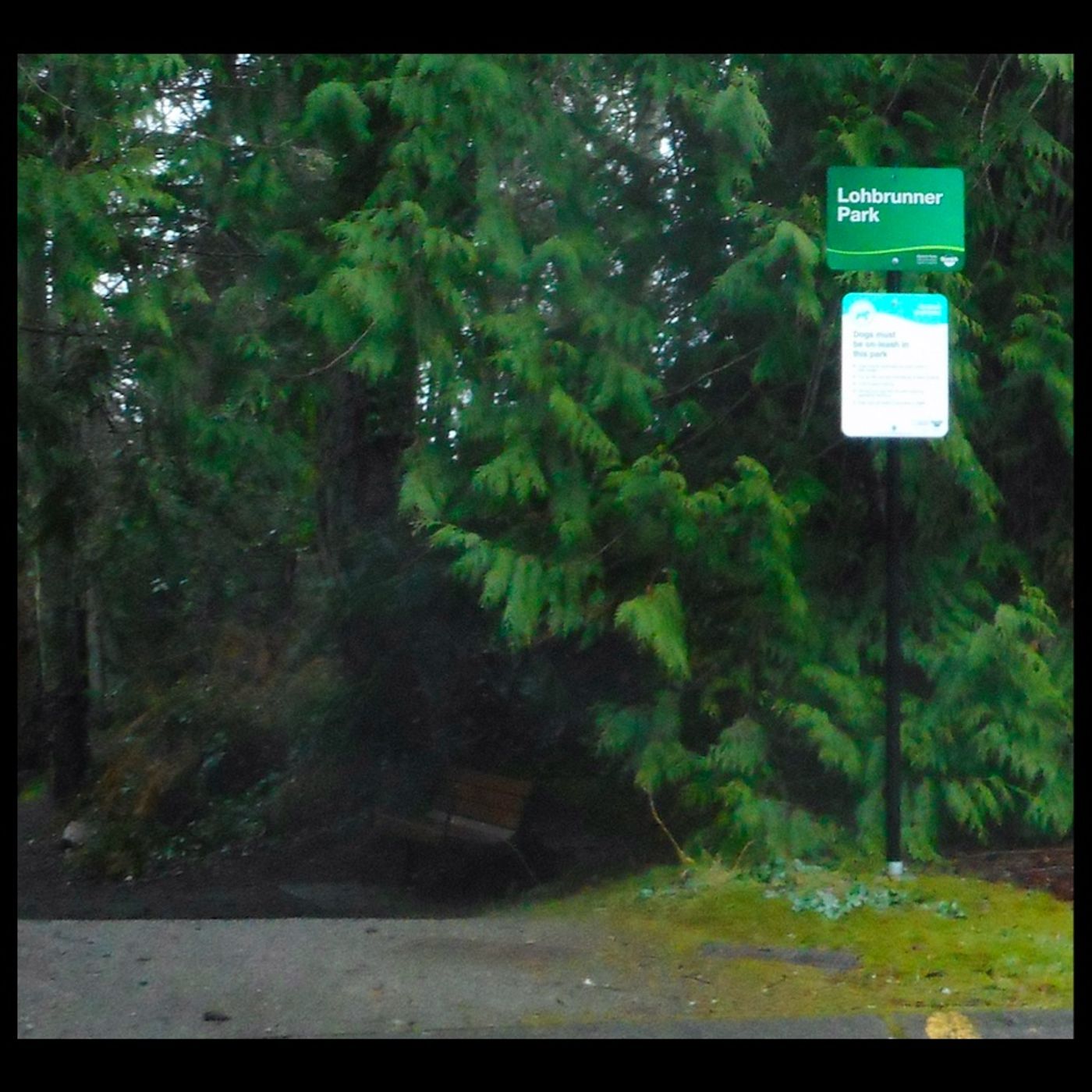 Lohbrunner Pond (Full Audio)
